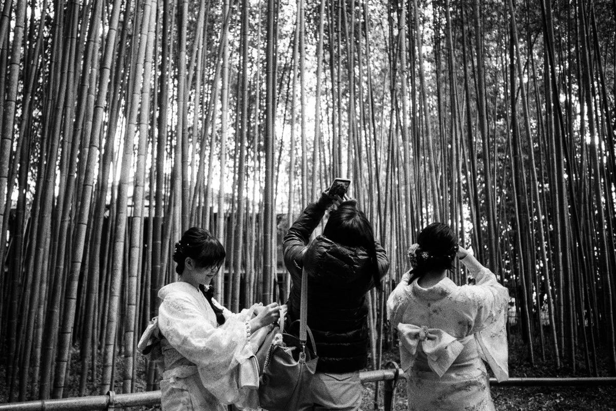   Arashiyama Bamboo Grove    |   Leica M7 | Voigtlander 28mm/2.8 | Kentmere 400 