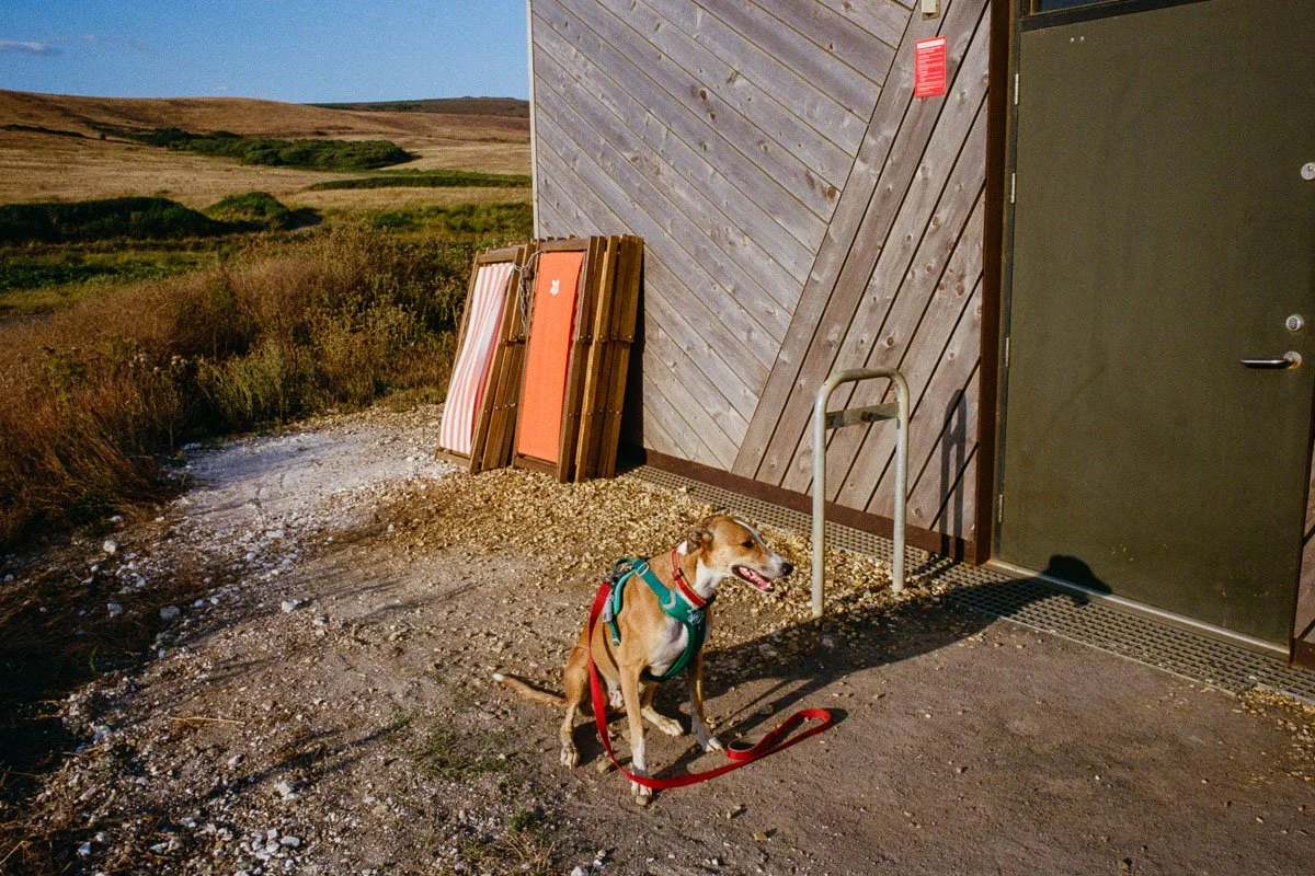  Leica M7 | Voigtlander VM Color-Skopar 28mm/f2.8 | Kodak Ultramax 400 