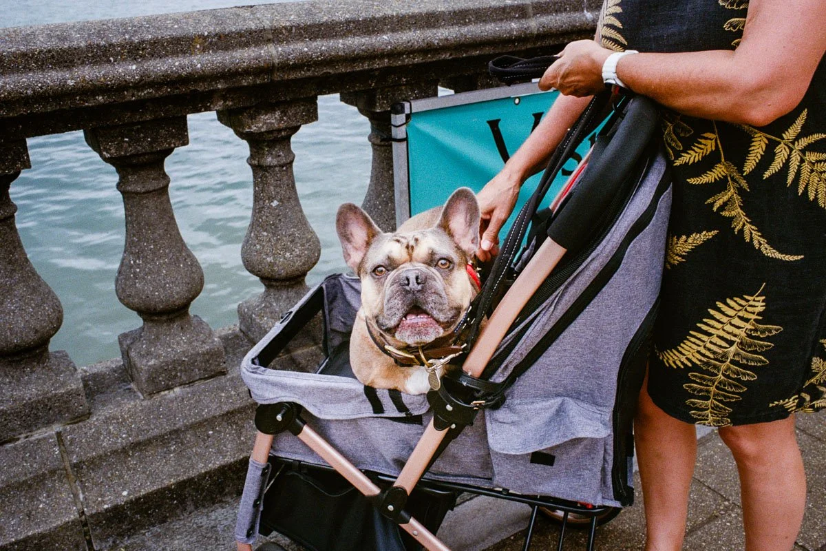  Leica M7 | Voigtlander VM Color-Skopar 28mm/f2.8 | Kodak Ultramax 400 