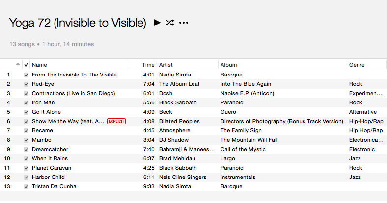 13_Invisible to Visible