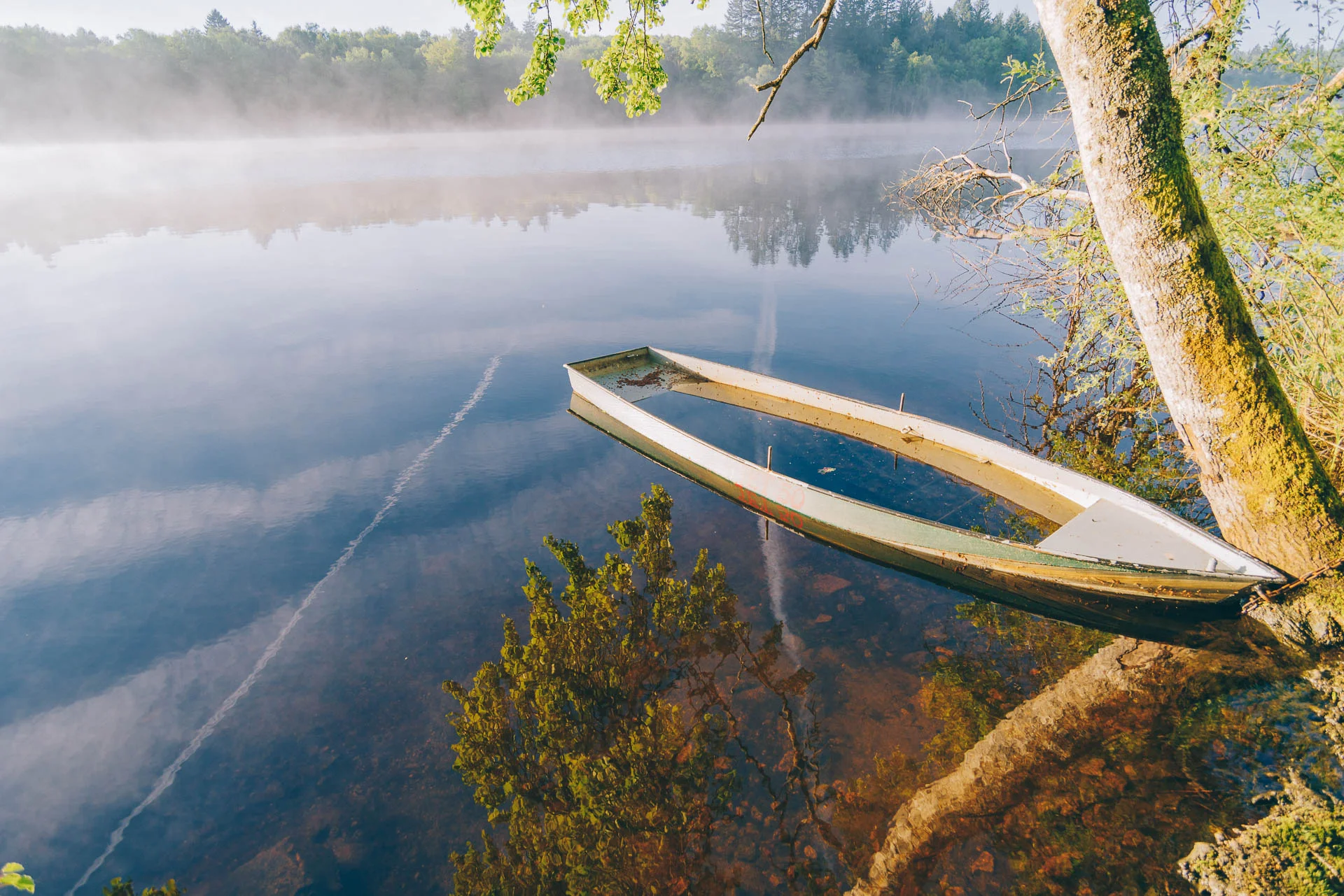 DiMiCoLoGy-Le Bateau d'Ingrid-3892.jpg