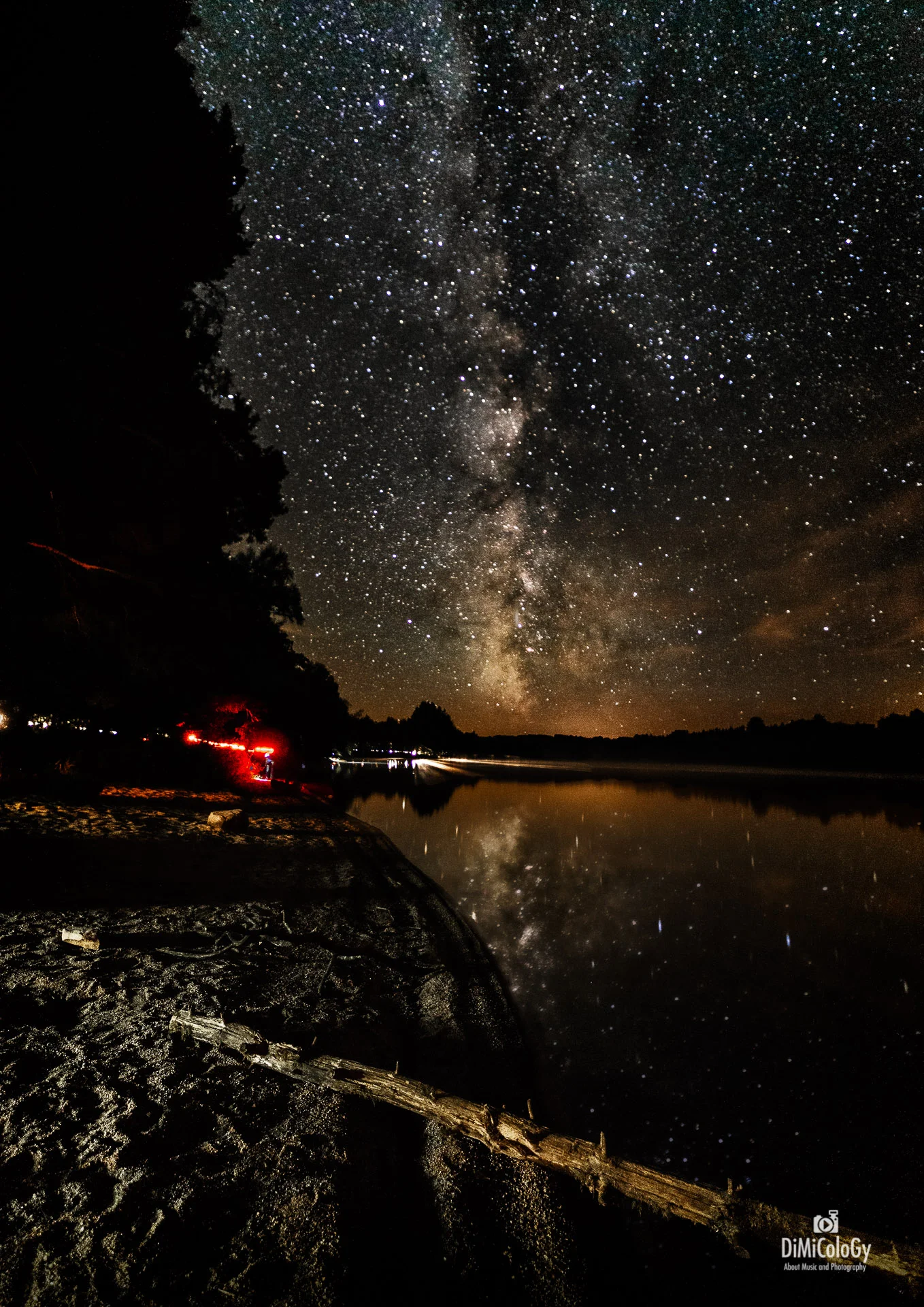 DiMiCoLoGy-Vertical Settons-2.jpg