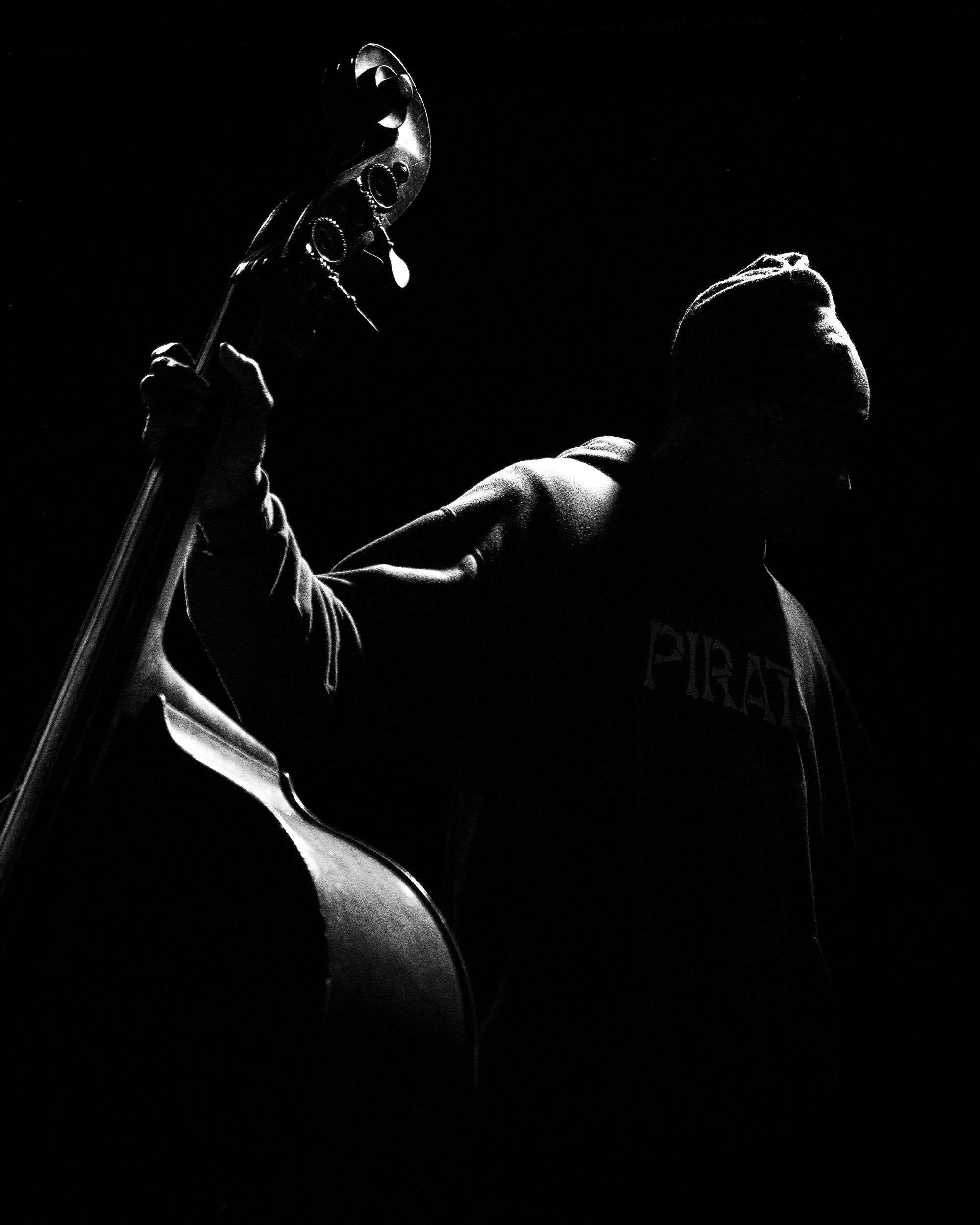 Reggie Washington - Bass Pirata