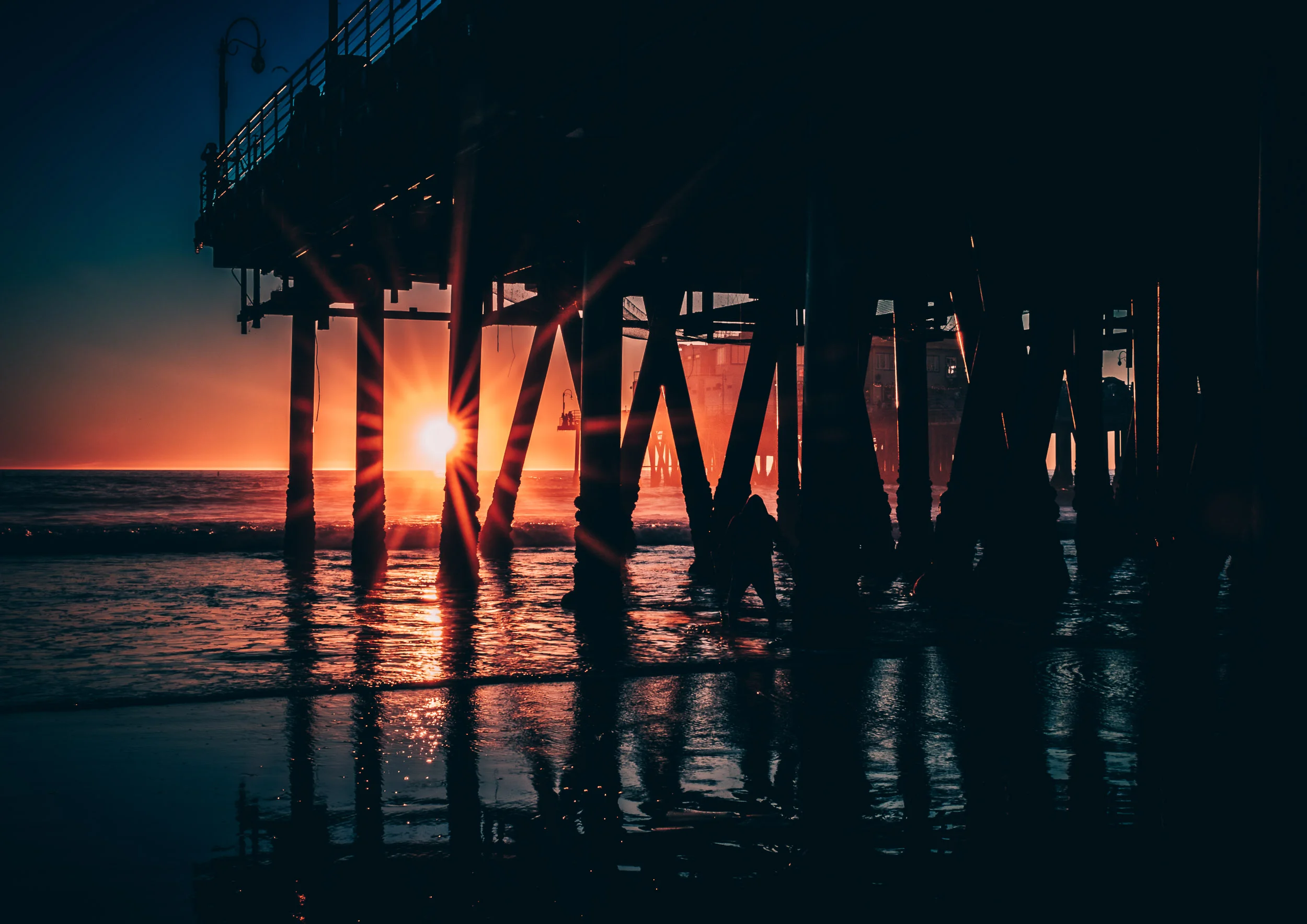 DiMiCoLoGy-Looking for Gold - Santa Monica 2018-0028.jpg