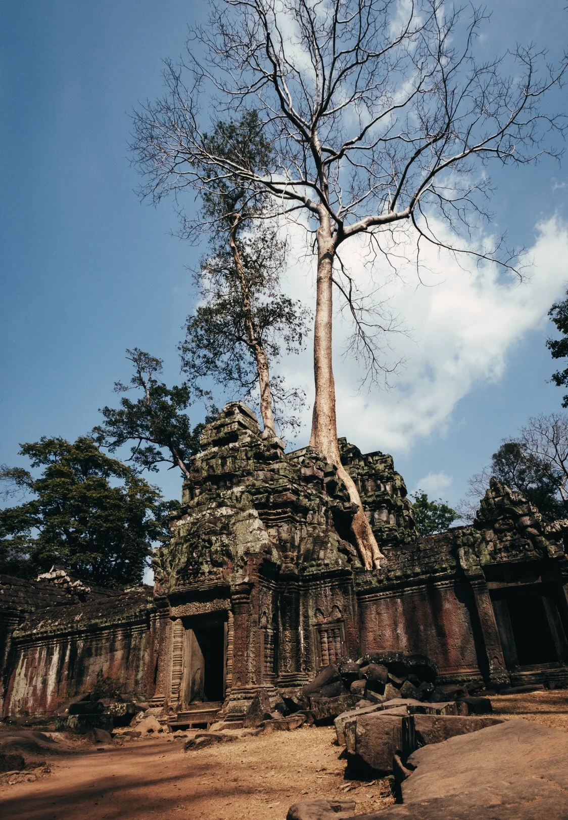 Ta Prohm Temple - Nature and Ruins