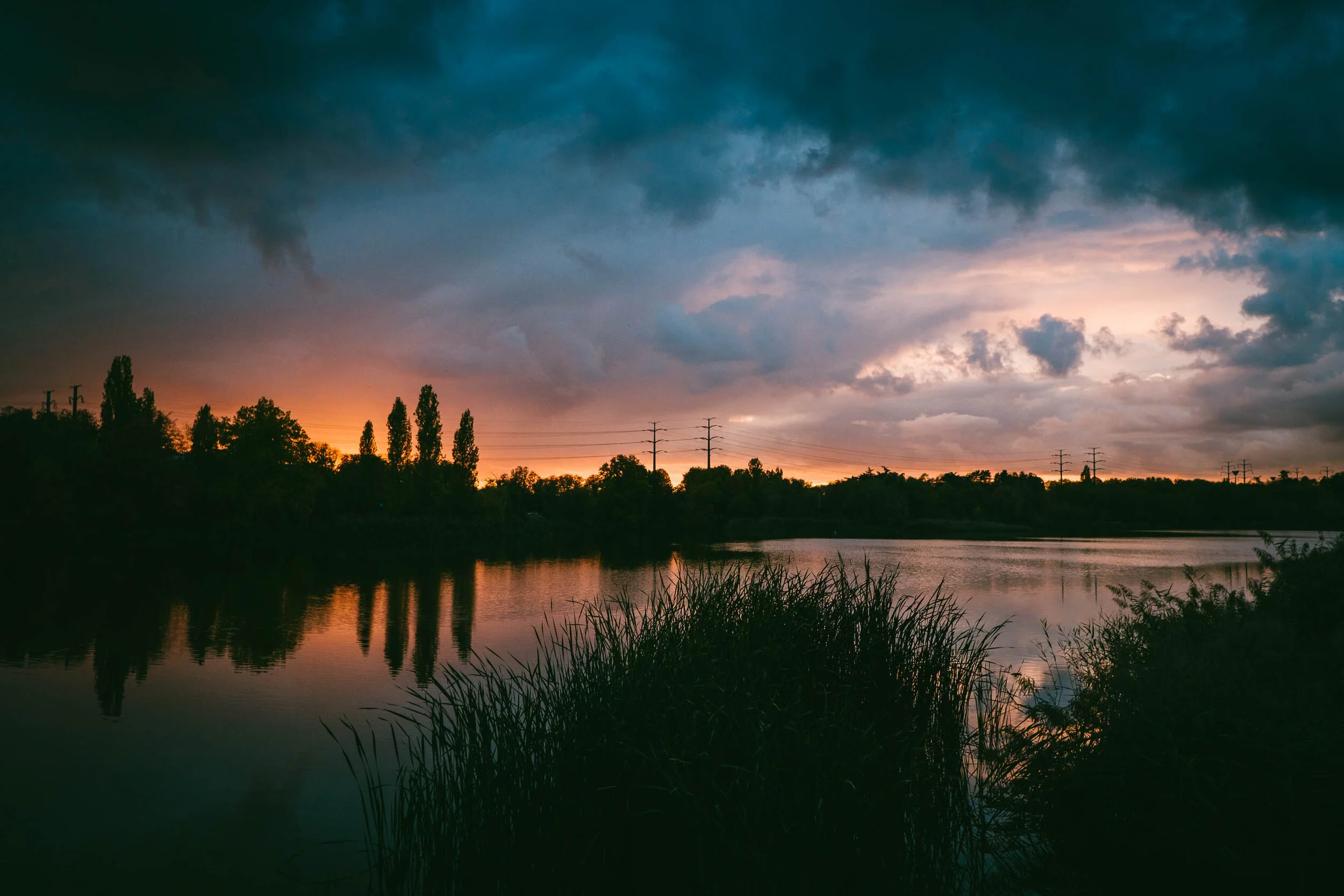  for more info www.dimicology.net 