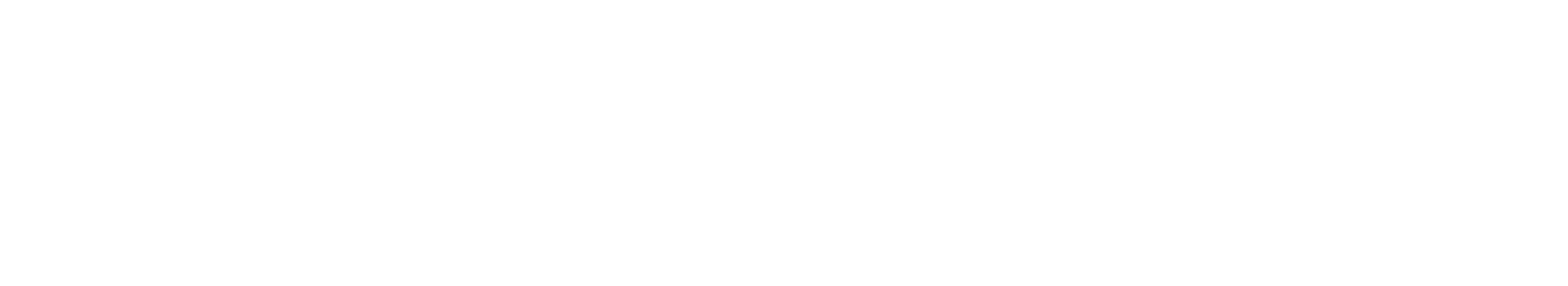 Strive Logo Plain WHT.png