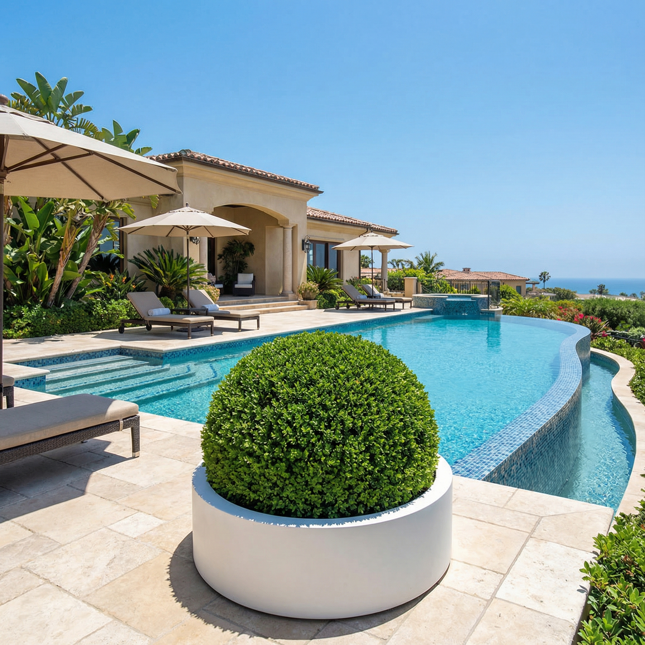 Large Buxus Ball - 50CM