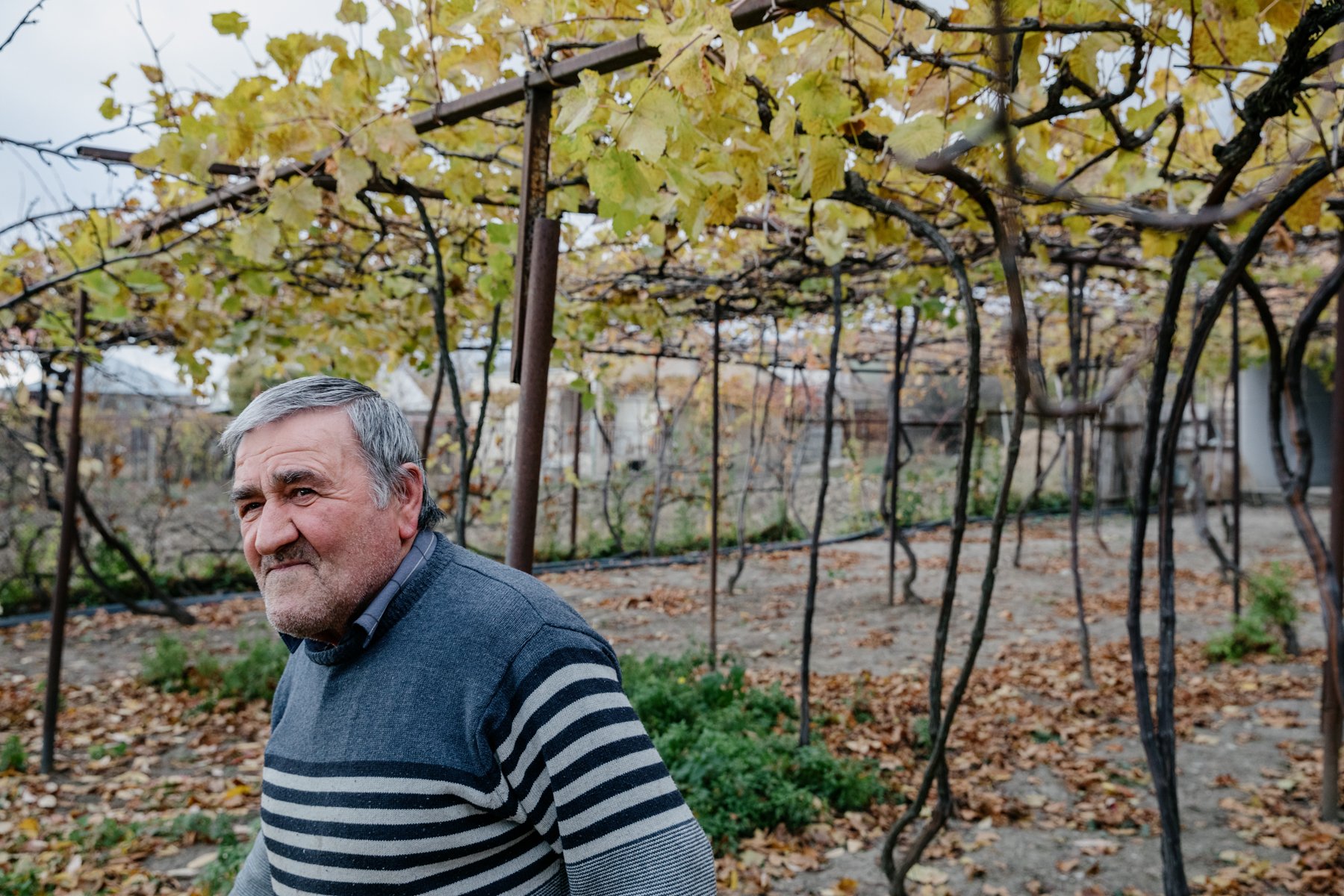 Giorgi Abalaki walks beneath the grapevines in his garden. He lives in the last house before the boundary line with South Ossetia in the village of Kirbali. 76-year-old Giorgi has lived alone since his wife died several years ago. 