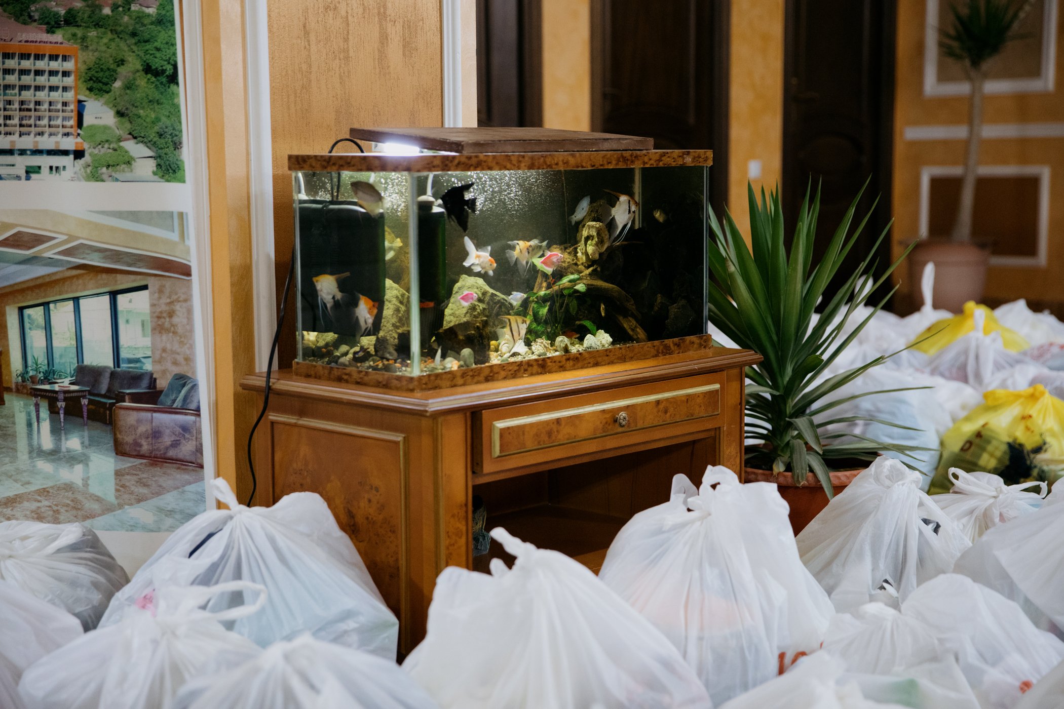  A fish tank in the reception of the Hotel Goris, surrounded by bags of aid provided by the Armenian government for people unable to return to Nagorno-Karabakh due to the closure of the Lachin Corridor. 