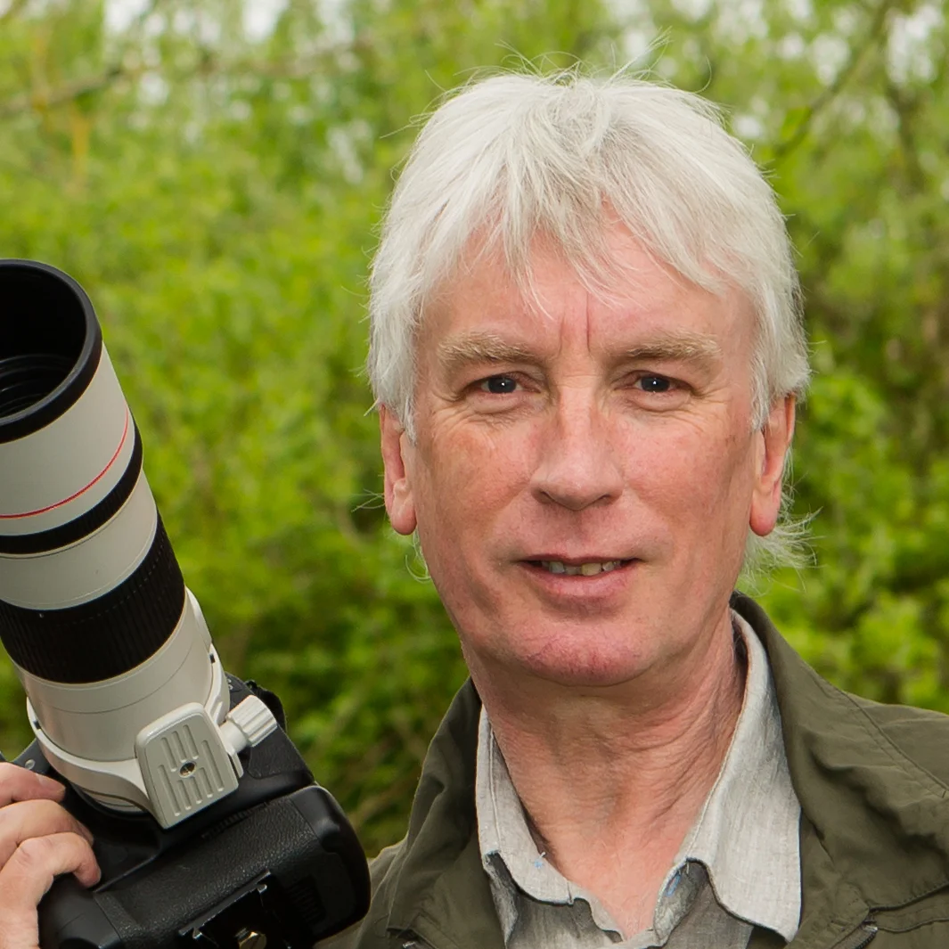 Tom Langlands.jpg