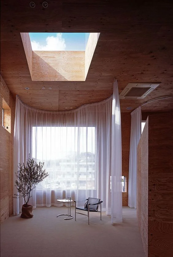 n10.jpg