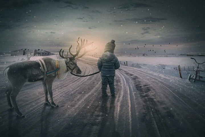 wintry-2014228__480.jpg