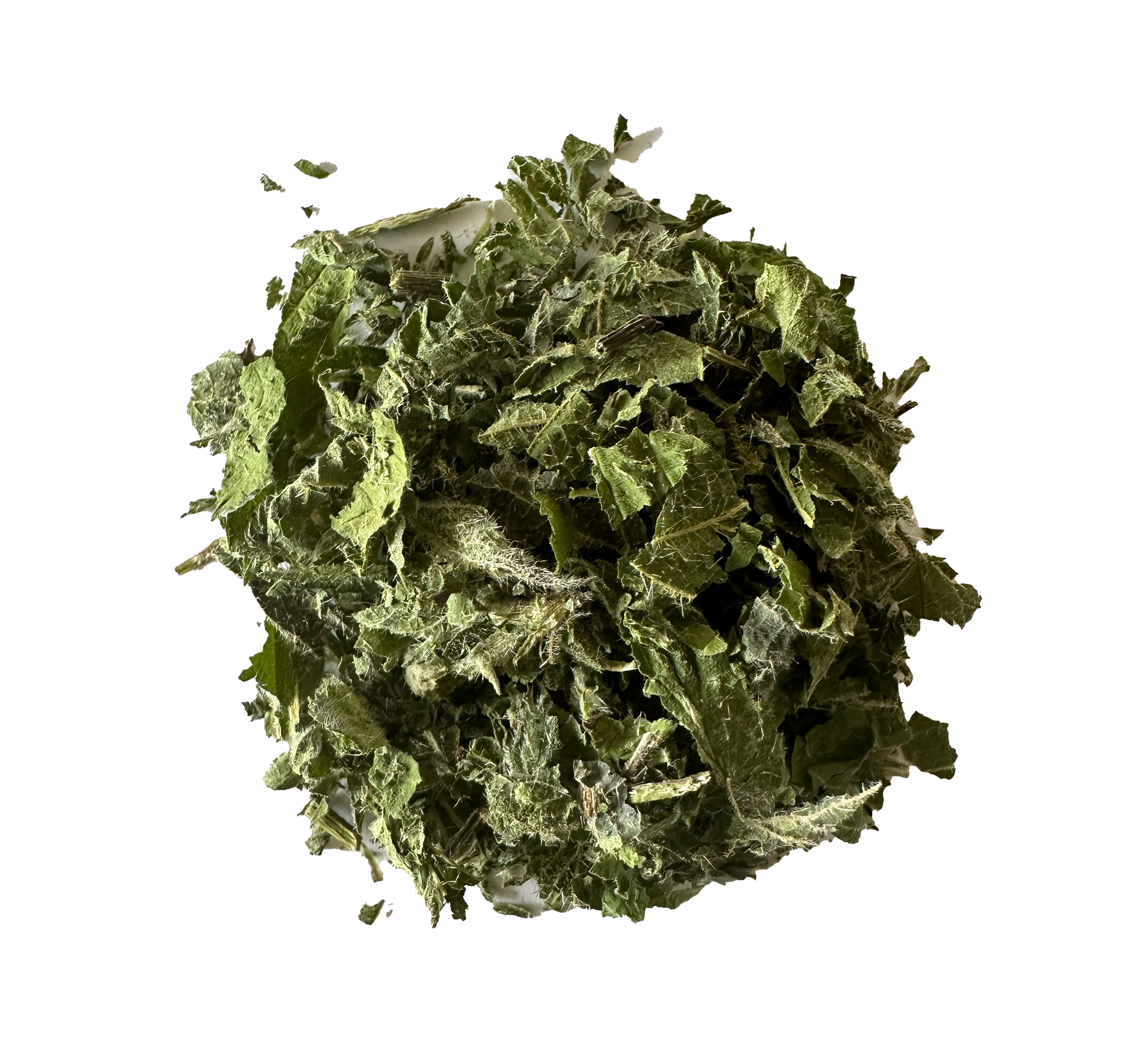 Tisane ortie Bio