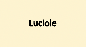 Luciole Restaurant gastronomique