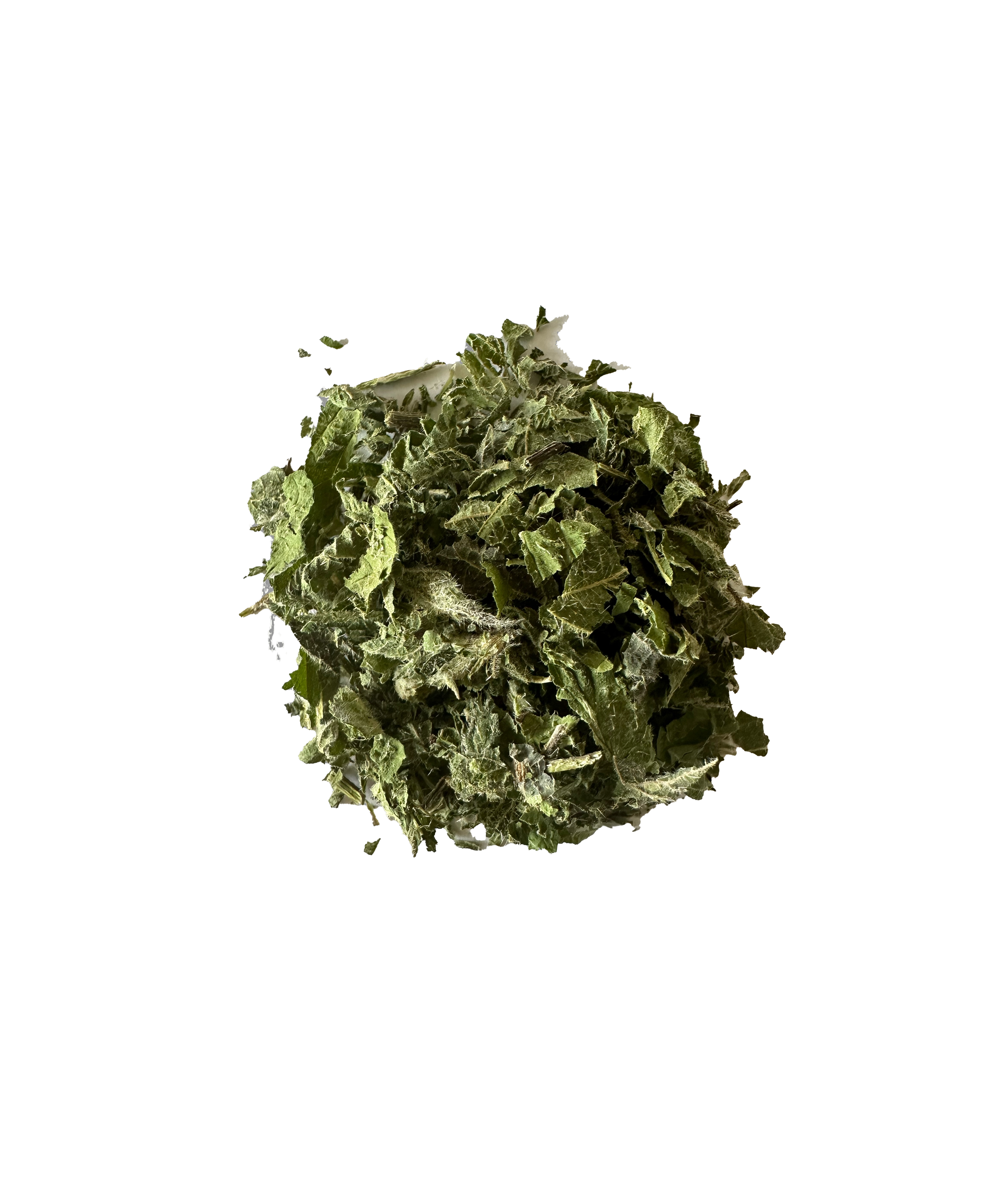 Ortie Bio Suisse Urtica Dioica