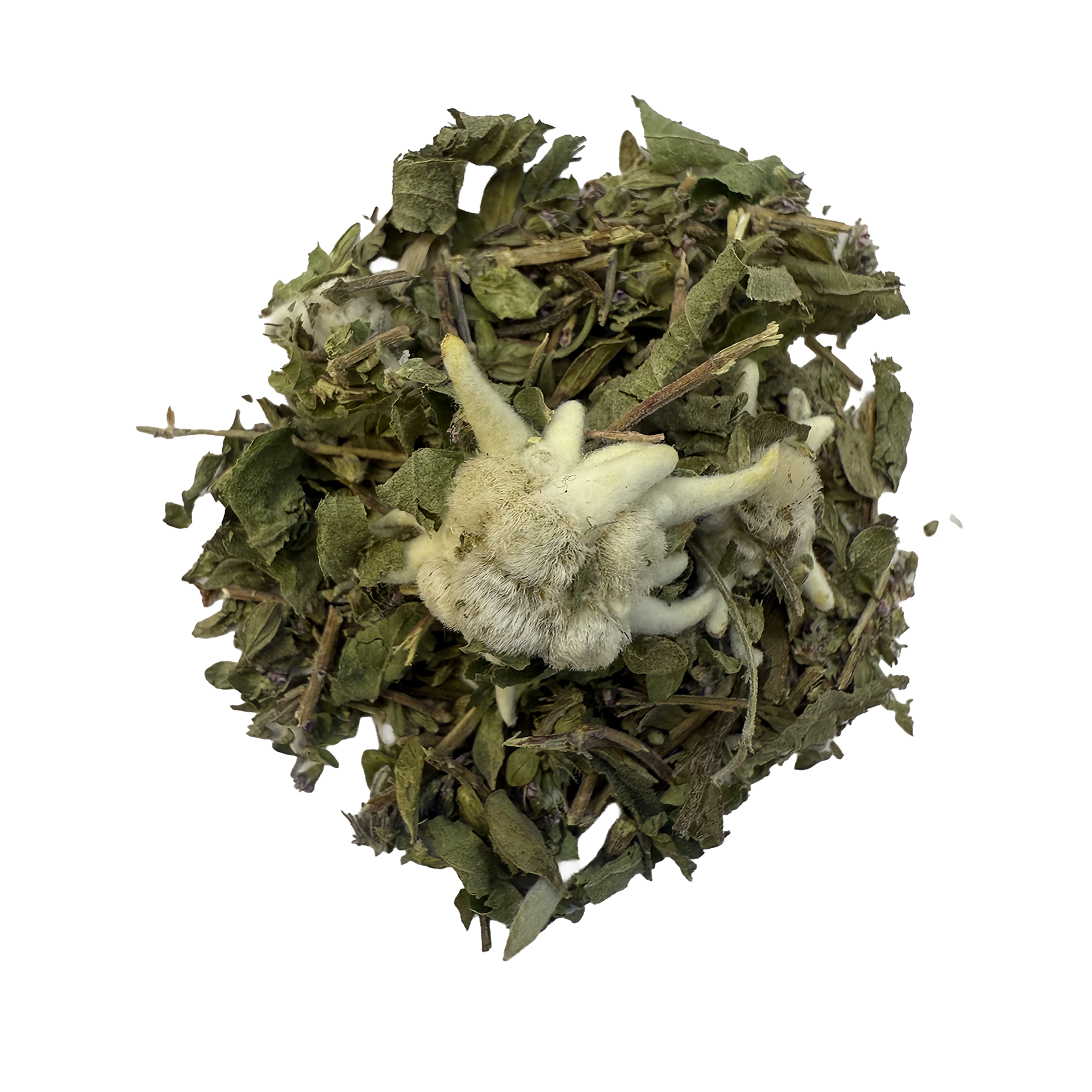 Blanche des cimes.png