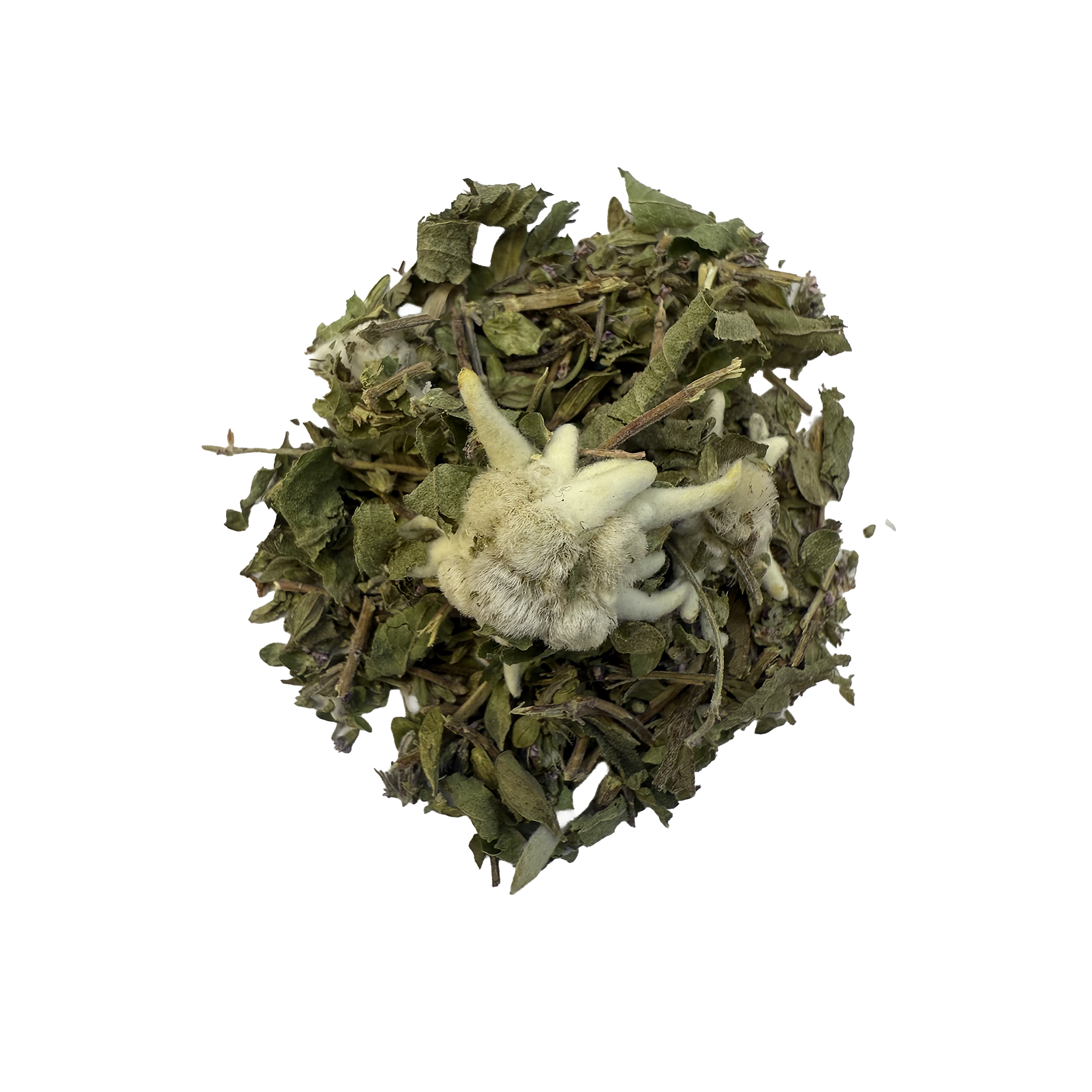 Blanche des cimes.png