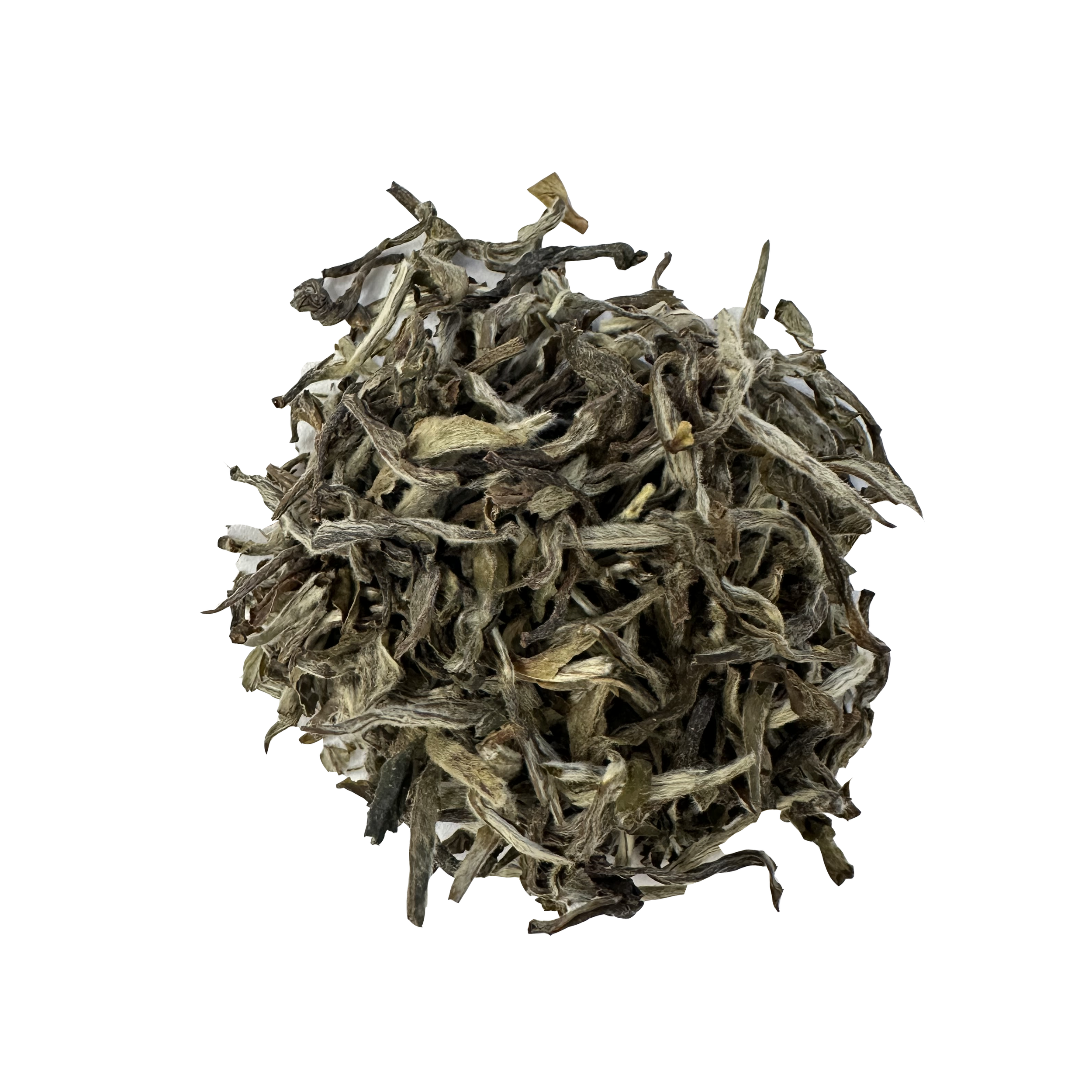 Thé blanc Népal Himalaya Bio