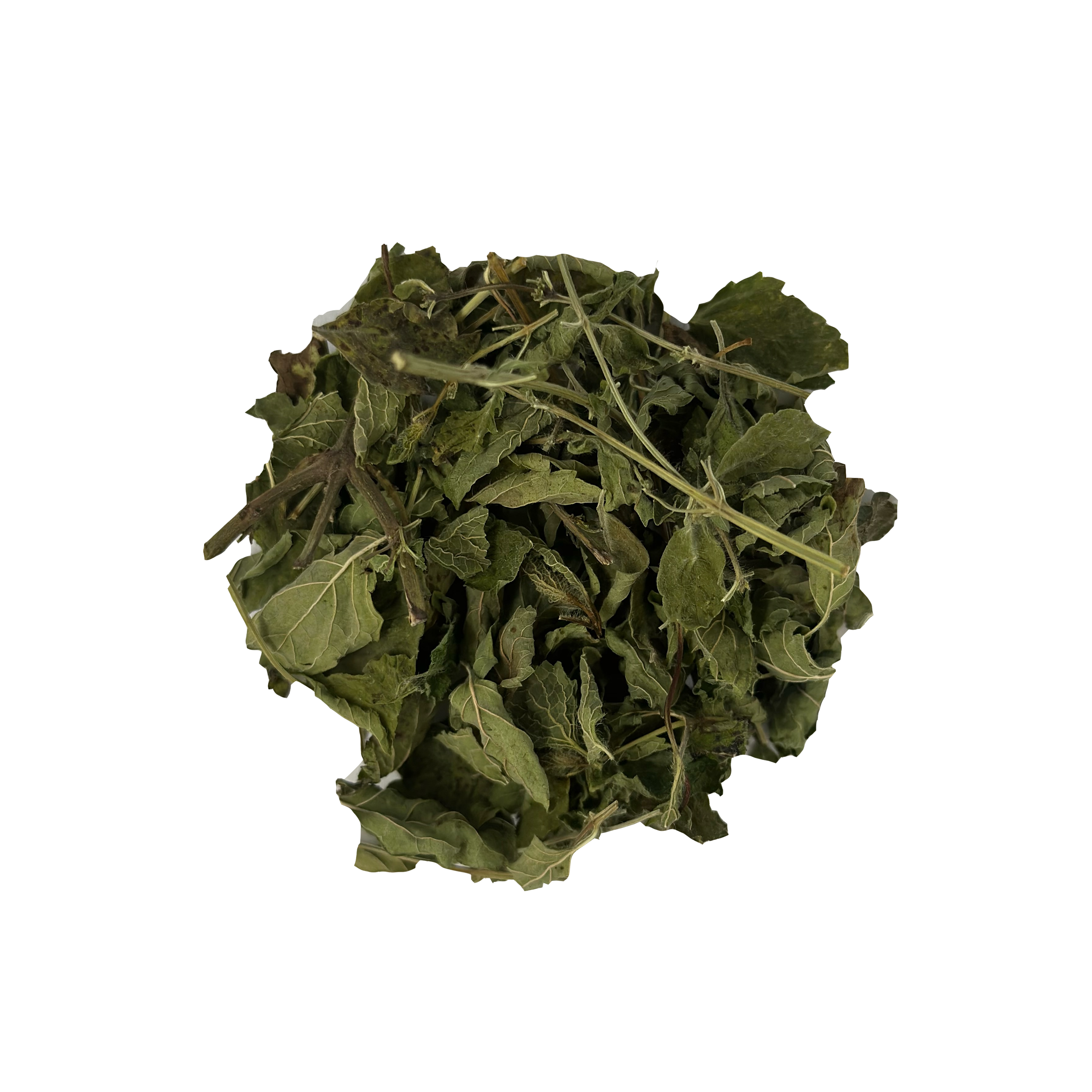 Tisane Mélisse Bio.png