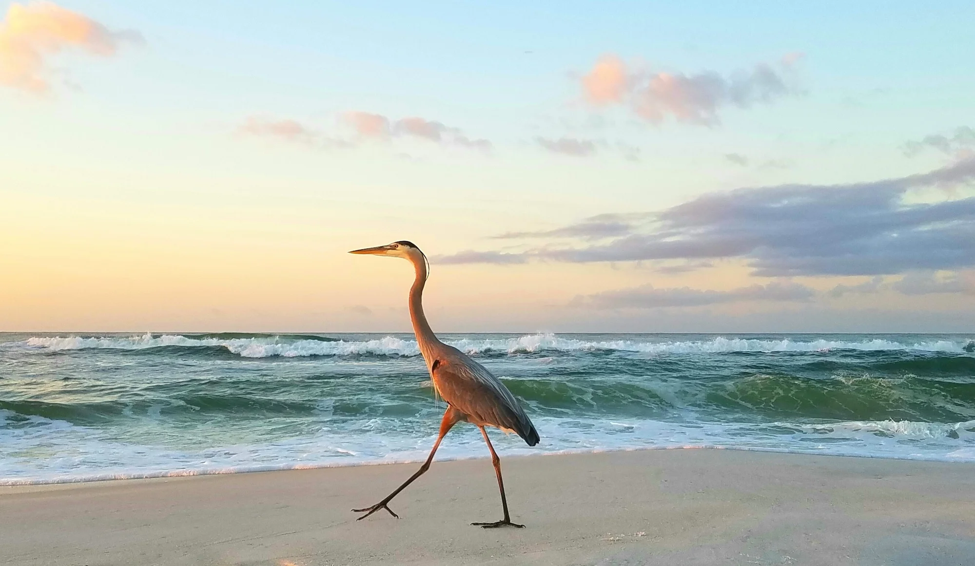 Contact Us — Santa Rosa County FCU