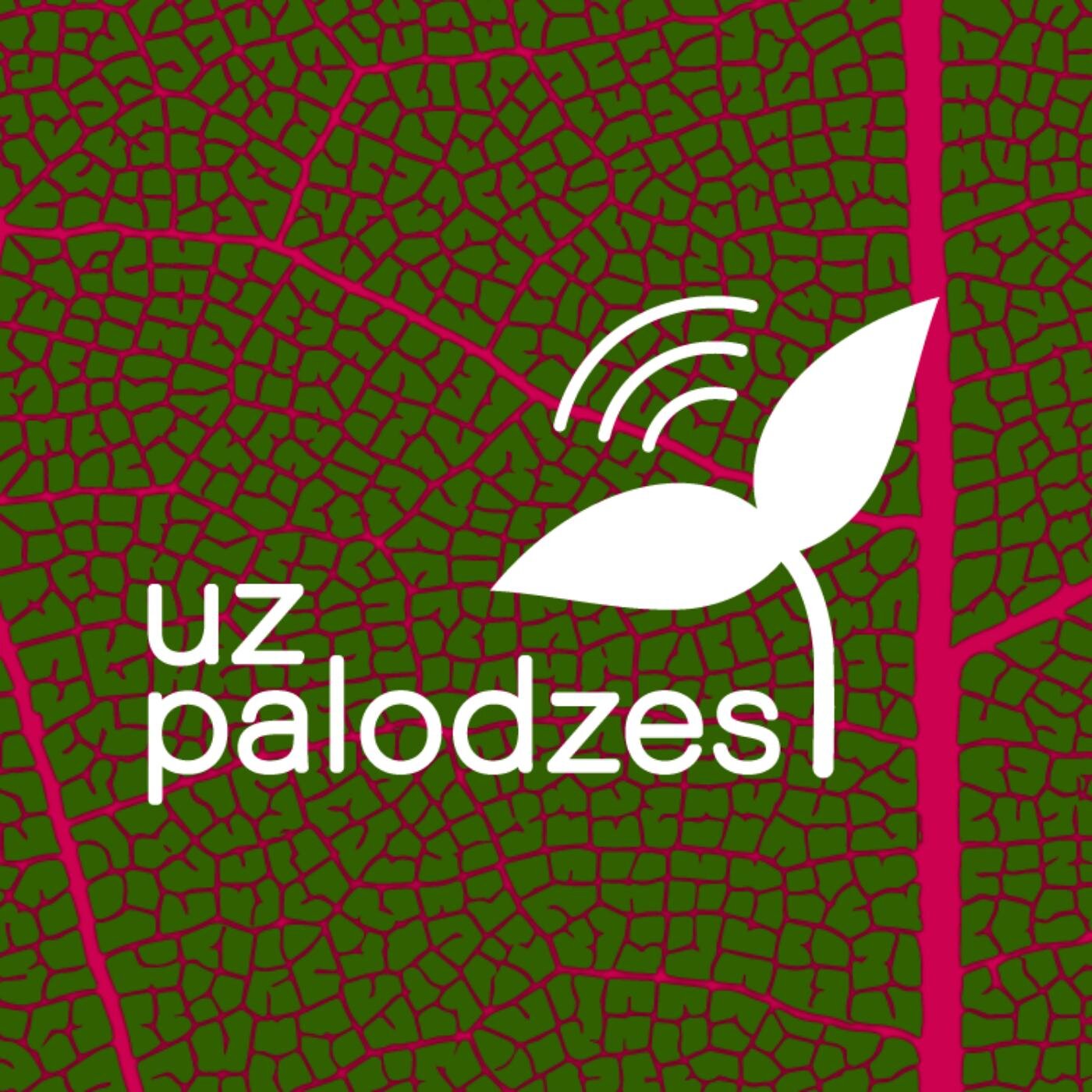 uz-palodzes-ieva-2KAVu94tW3L-8GHZnwIuL1j.1400x1400.jpg