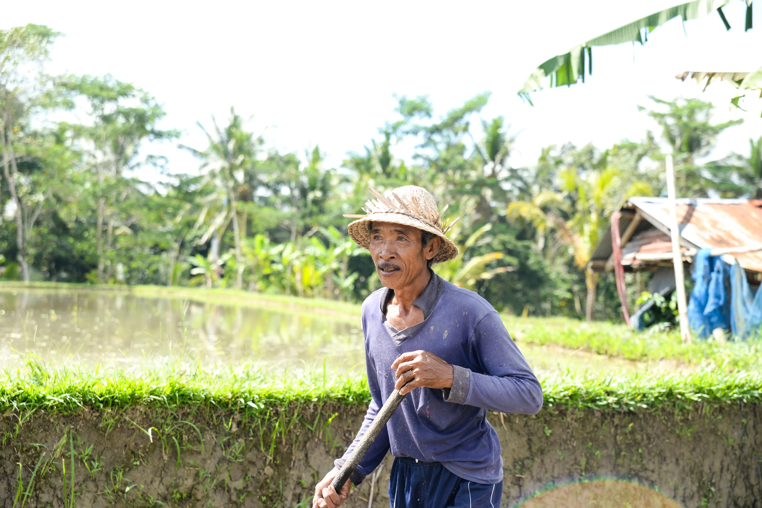 Bali-82.jpg