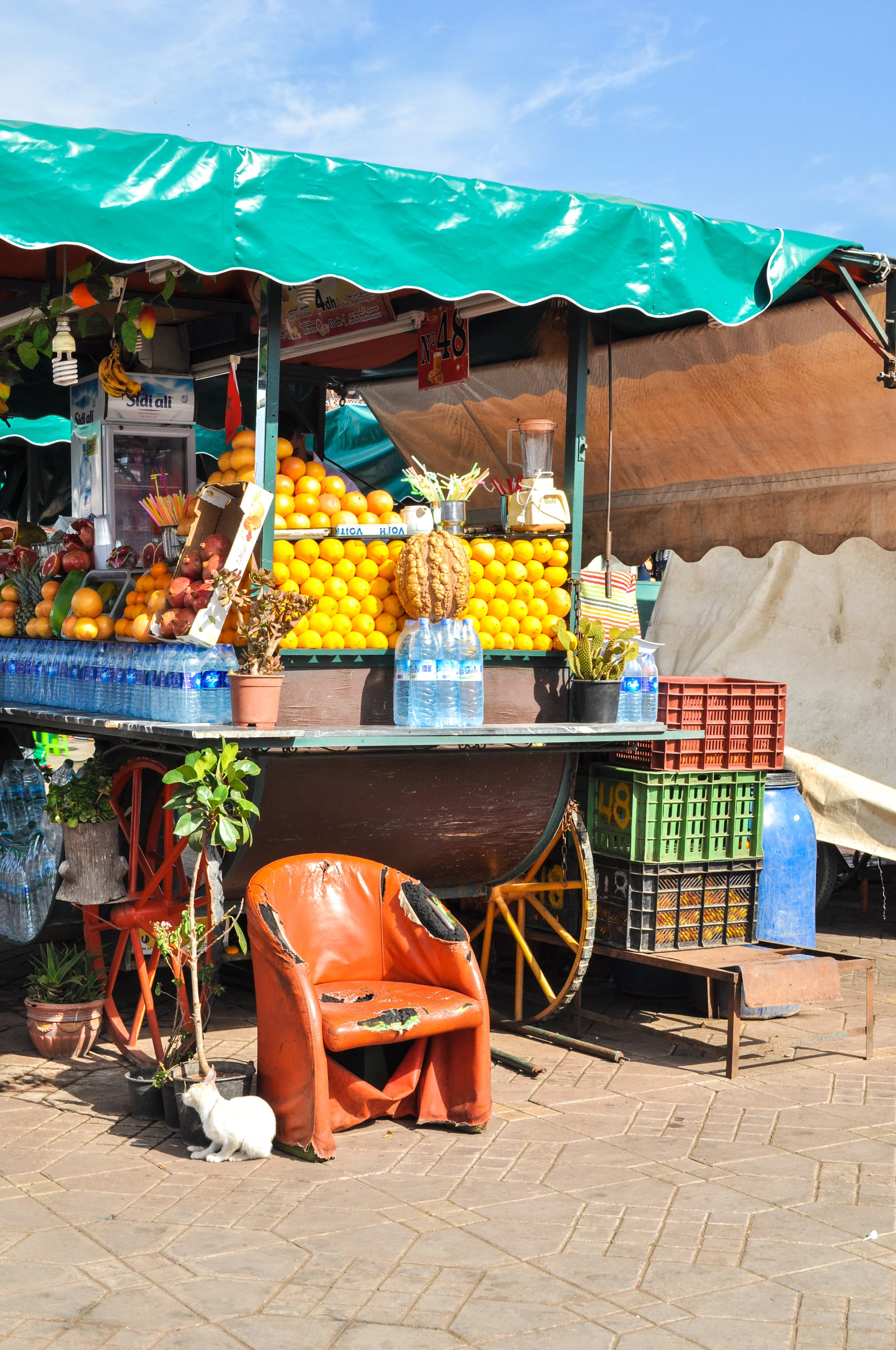 Marrakesh-68.jpg