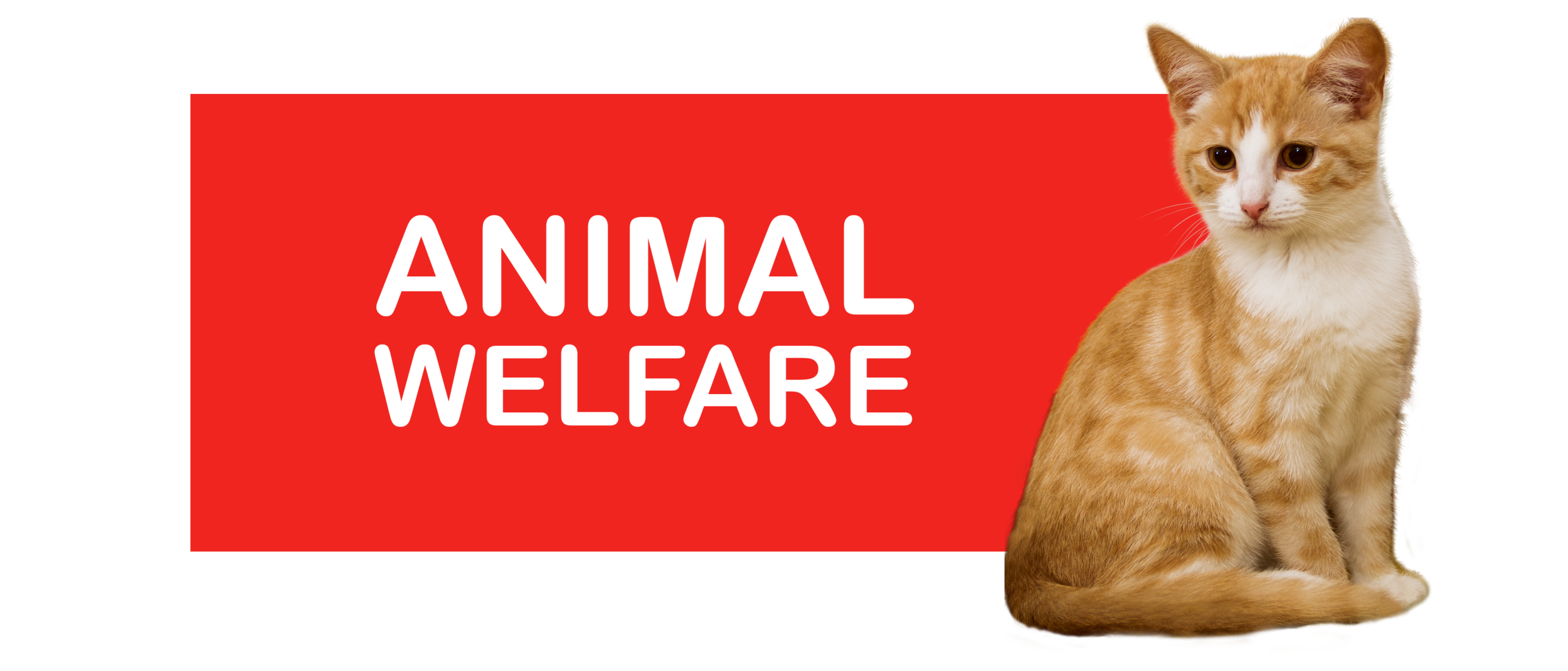 Animal Welfare.png