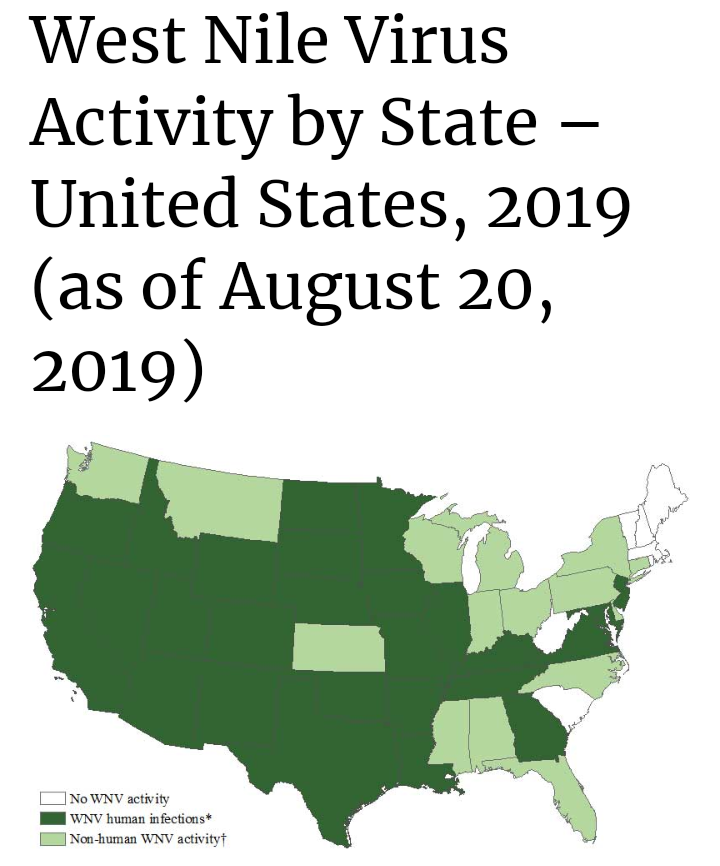 Screenshot_2019-09-03-11-53-55-1.png