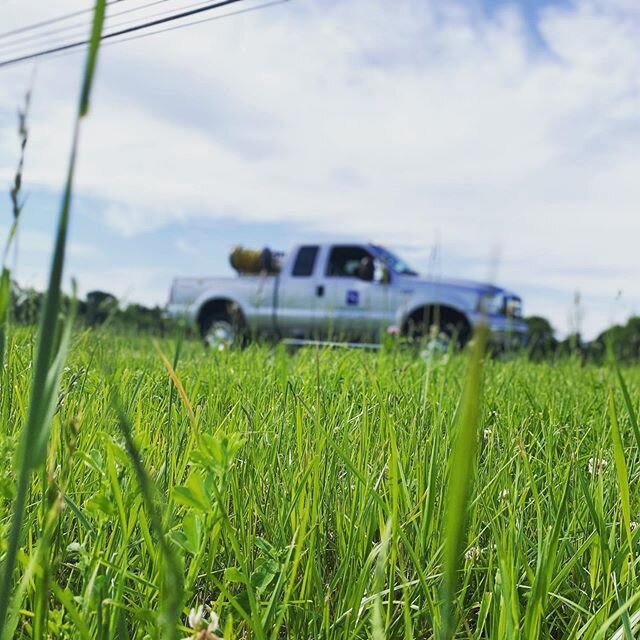 The grass is greener on the Safeside. ✅💚❤️🌎👍🇺🇸 .
. 
How is your 2020 summer going so far??? Tag someone who is obsessed with keeping their lawn lushly thiccc , green &amp; beautiful 😃
.
.
Safeside Treatments LLC
All Natural Tick &amp; Mosquito 