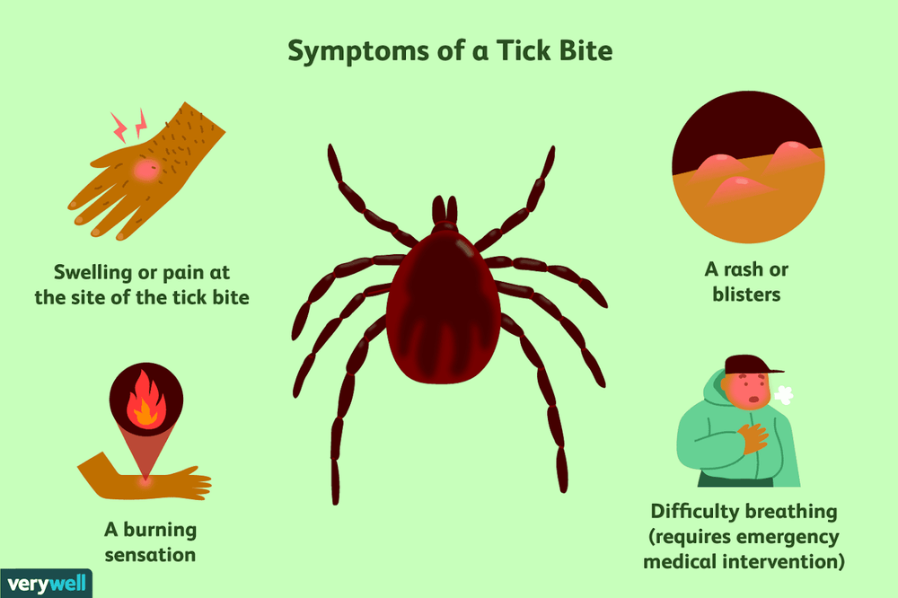 Symptoms of Lyme.PNG
