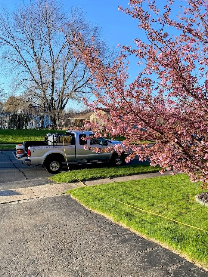 Safeside Truck 1 April May 2024.jpg