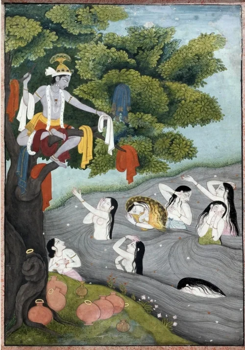 krishnasaris.jpeg