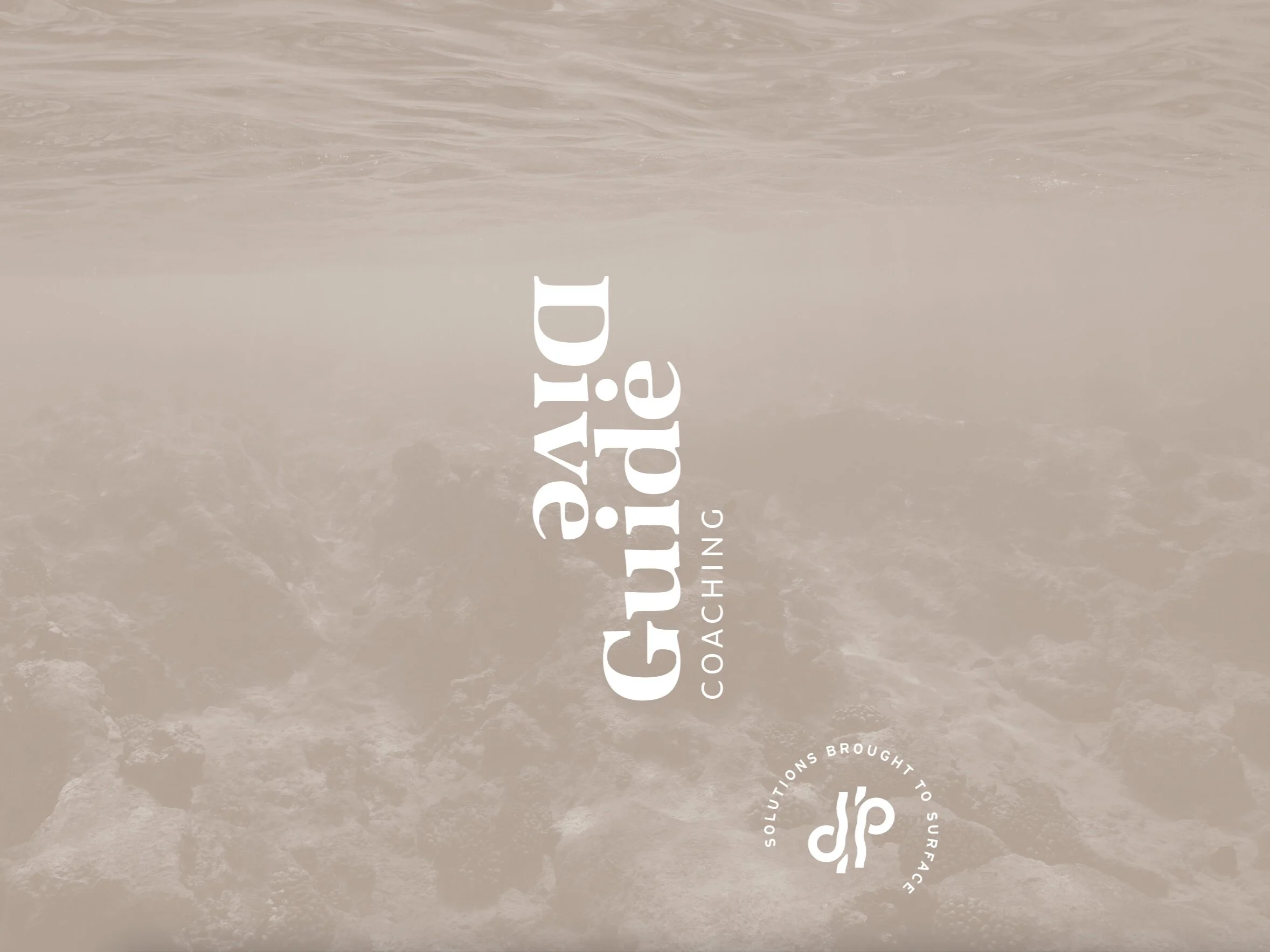 Dive guide branding.