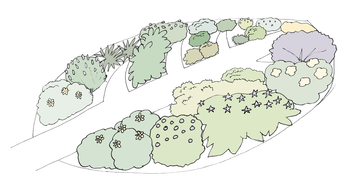 My Own Edible Landscape_The-Calendula-Design.png