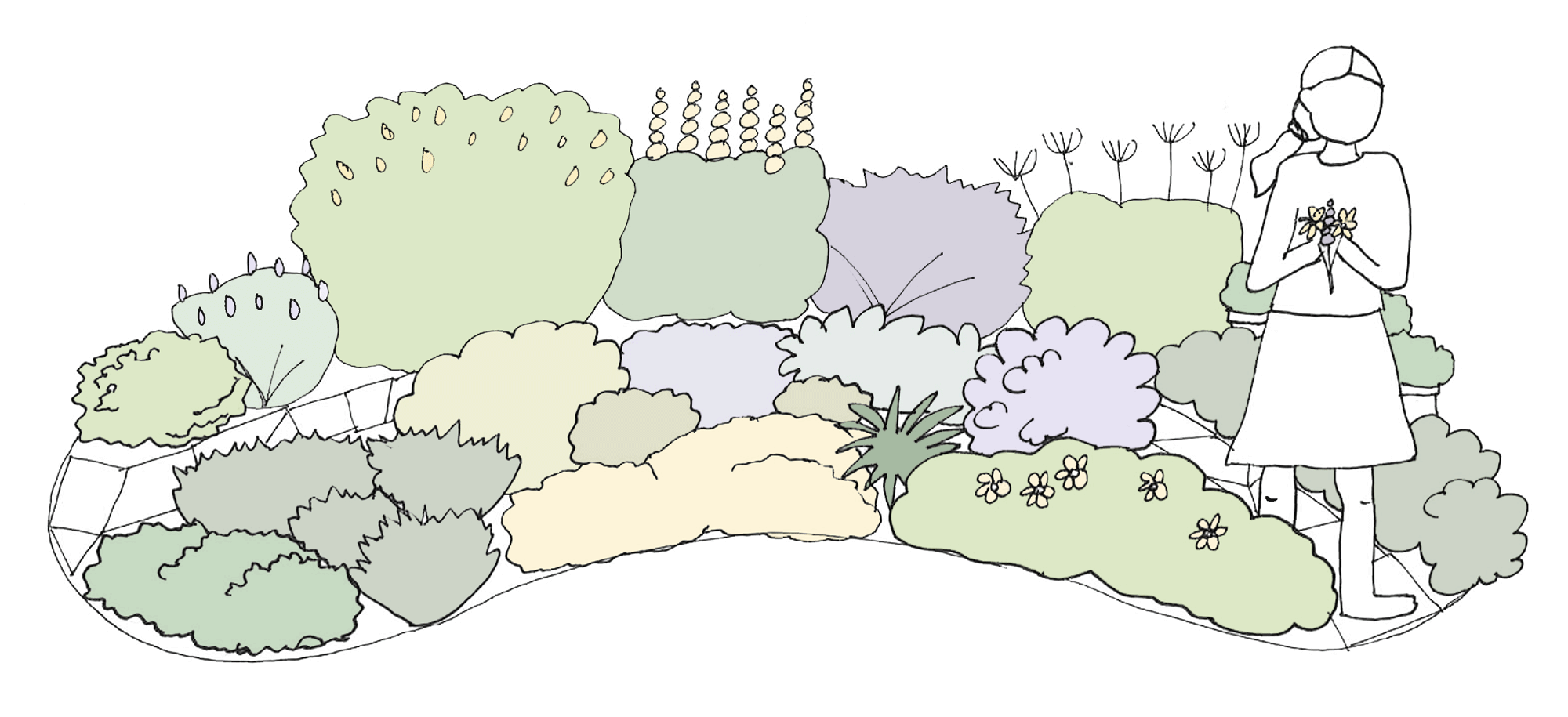 My Own Edible Landscape_The-Chamomile_Design.png