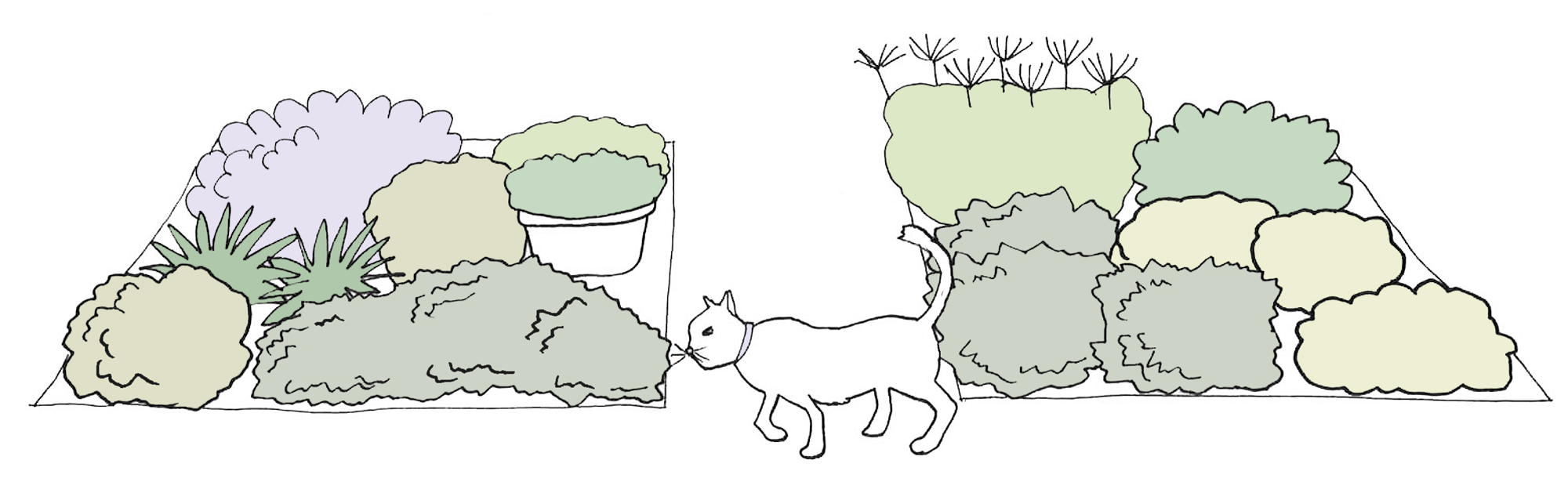 My Own Edible Landscape_The-Cilantro-Design.png