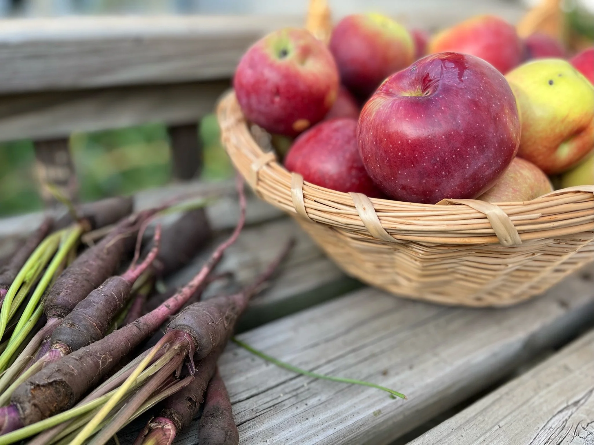 Payment Plans Available