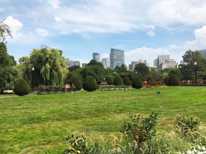 publicgarden.jpg