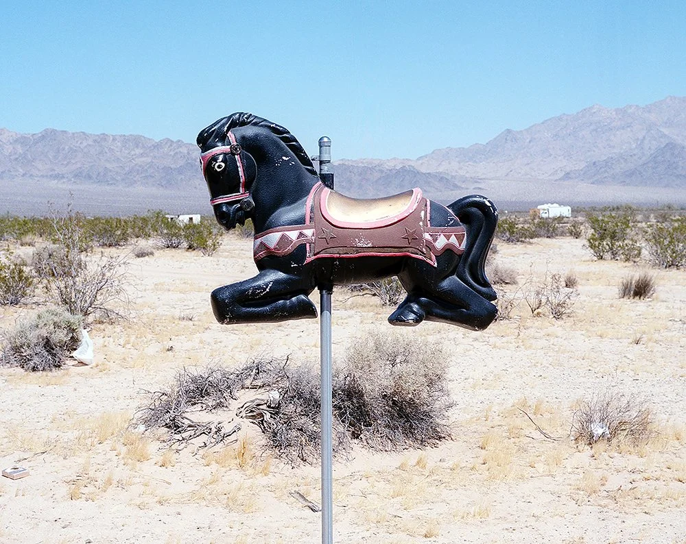 new-wonder-valley-ca-black-horse.jpg