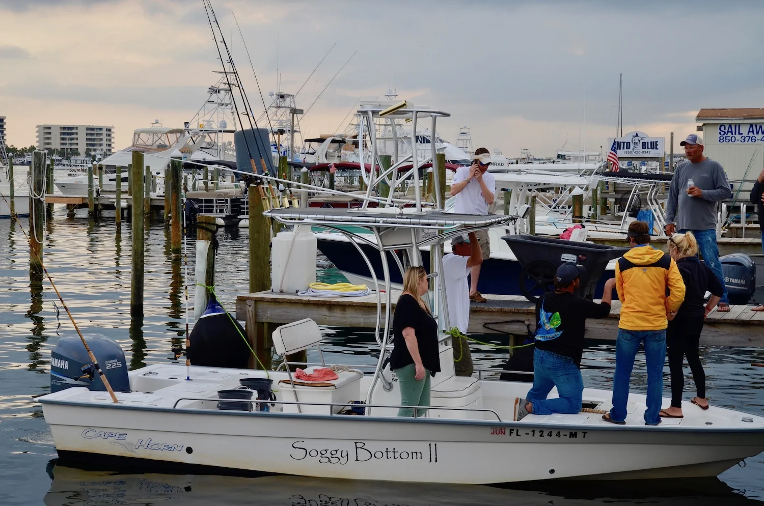 Destin Flathead Classic Cobia Tournament — Boshamps — Boshamps