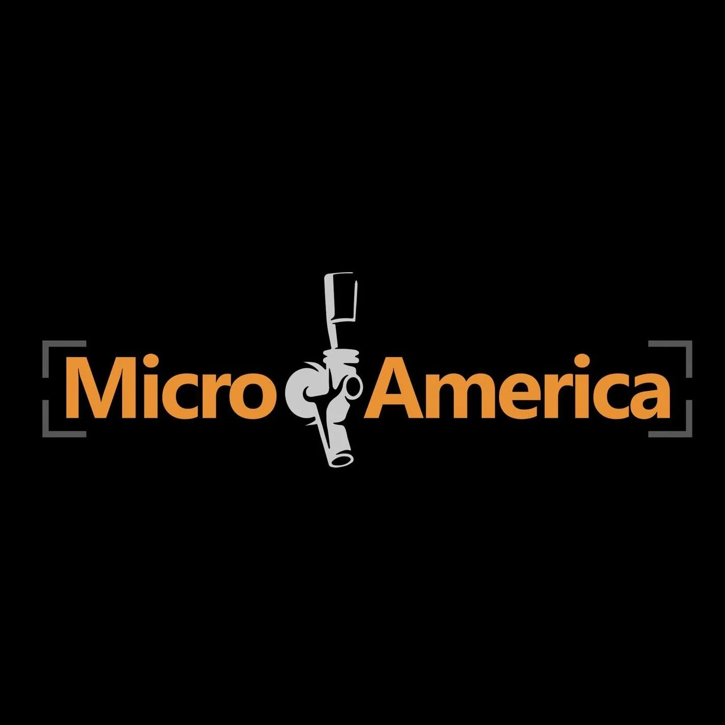 microamerica.jpg