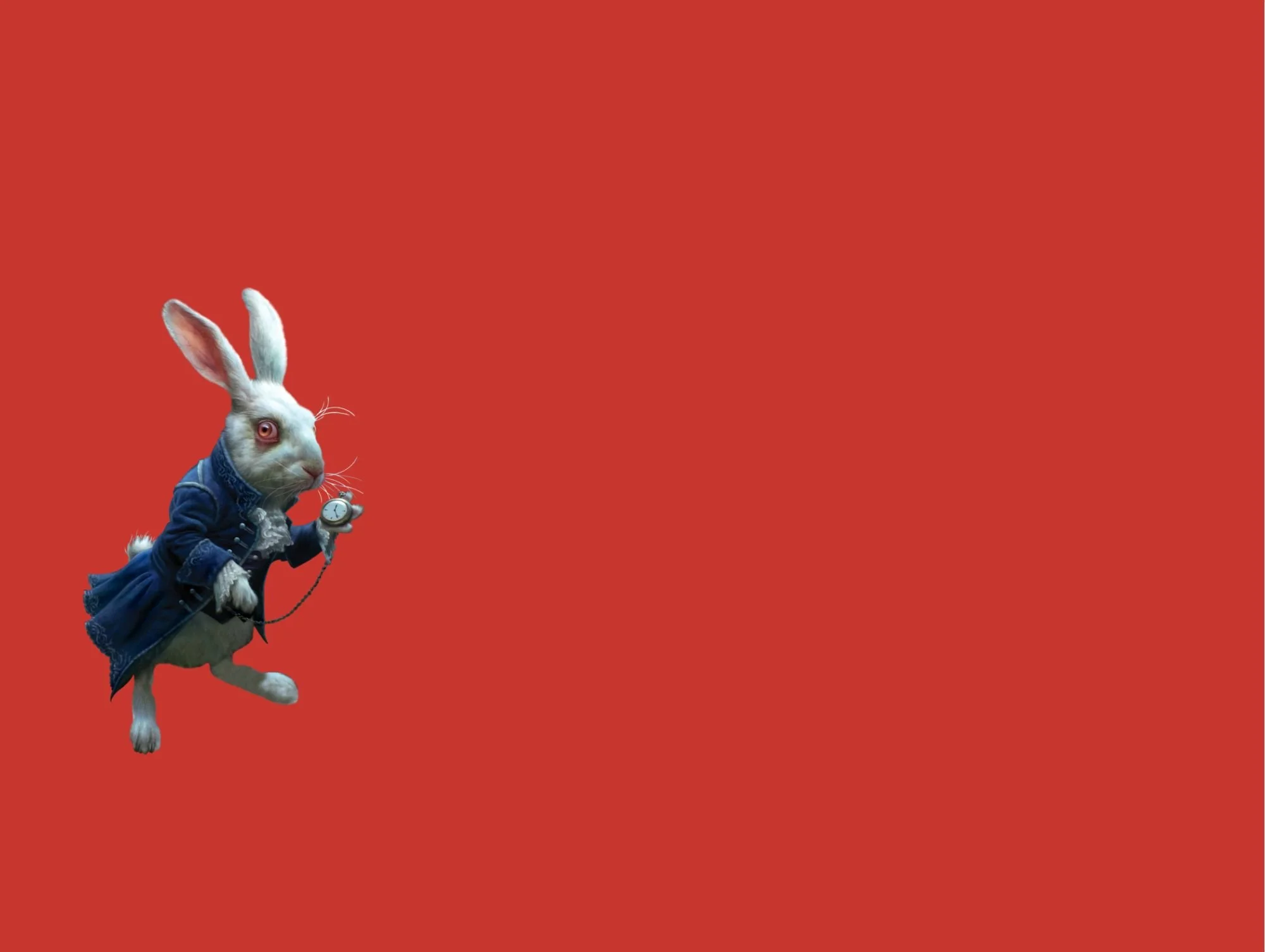 whiterabbitbanner.jpg