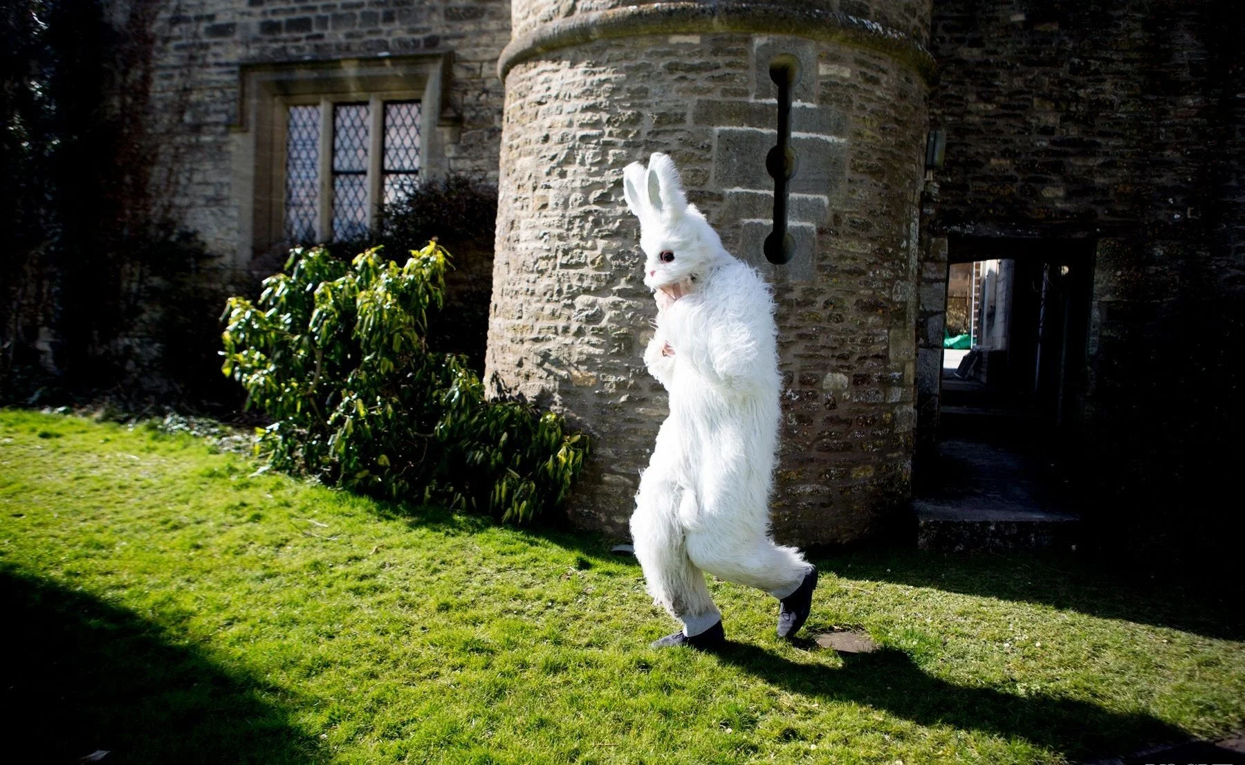 RachelChandlerRABBIT_2.jpg