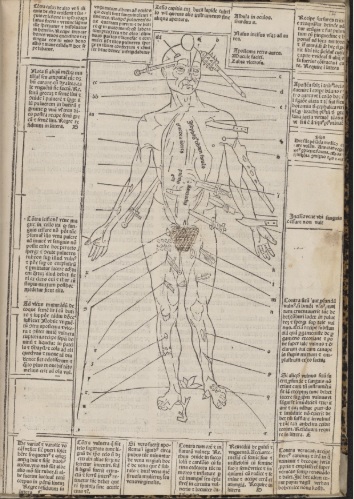 The original ‘Wound Man’