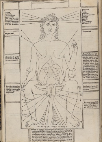 Obstetrics and Gynaecology