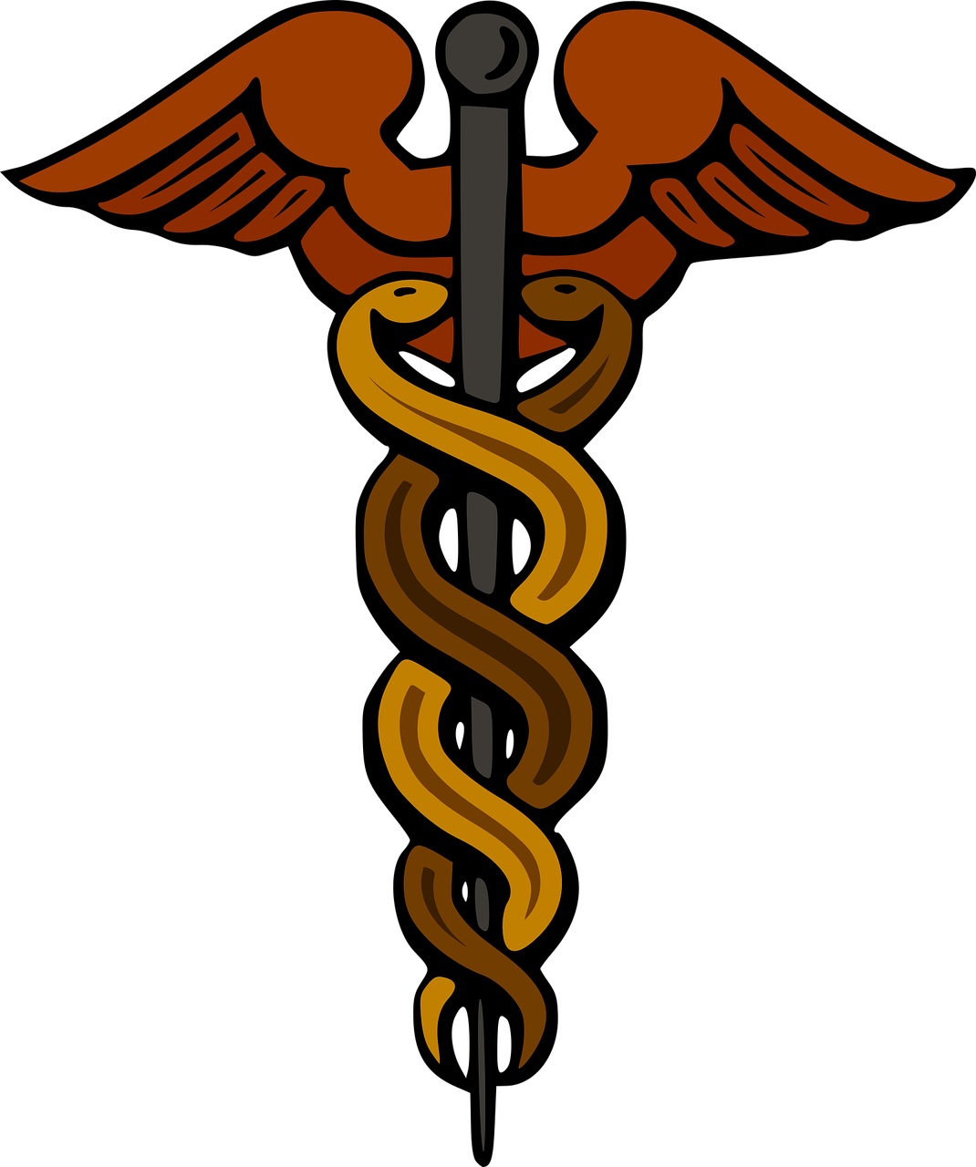 What Is The Medical Staff And Snake Symbol - Snake Poin