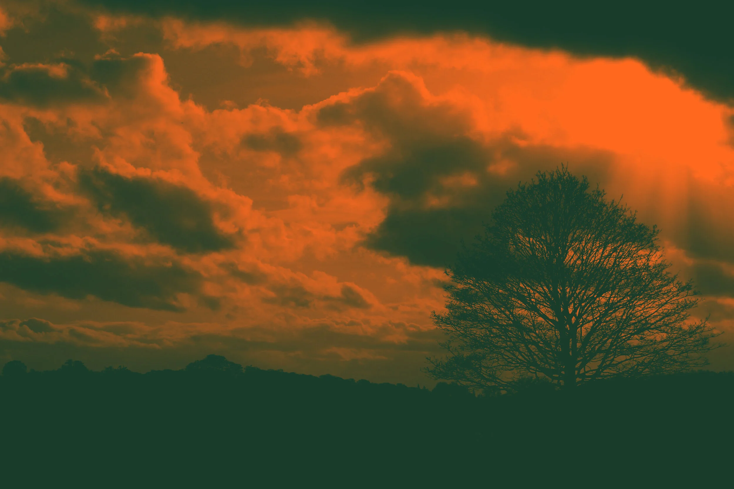 Wollaton Park