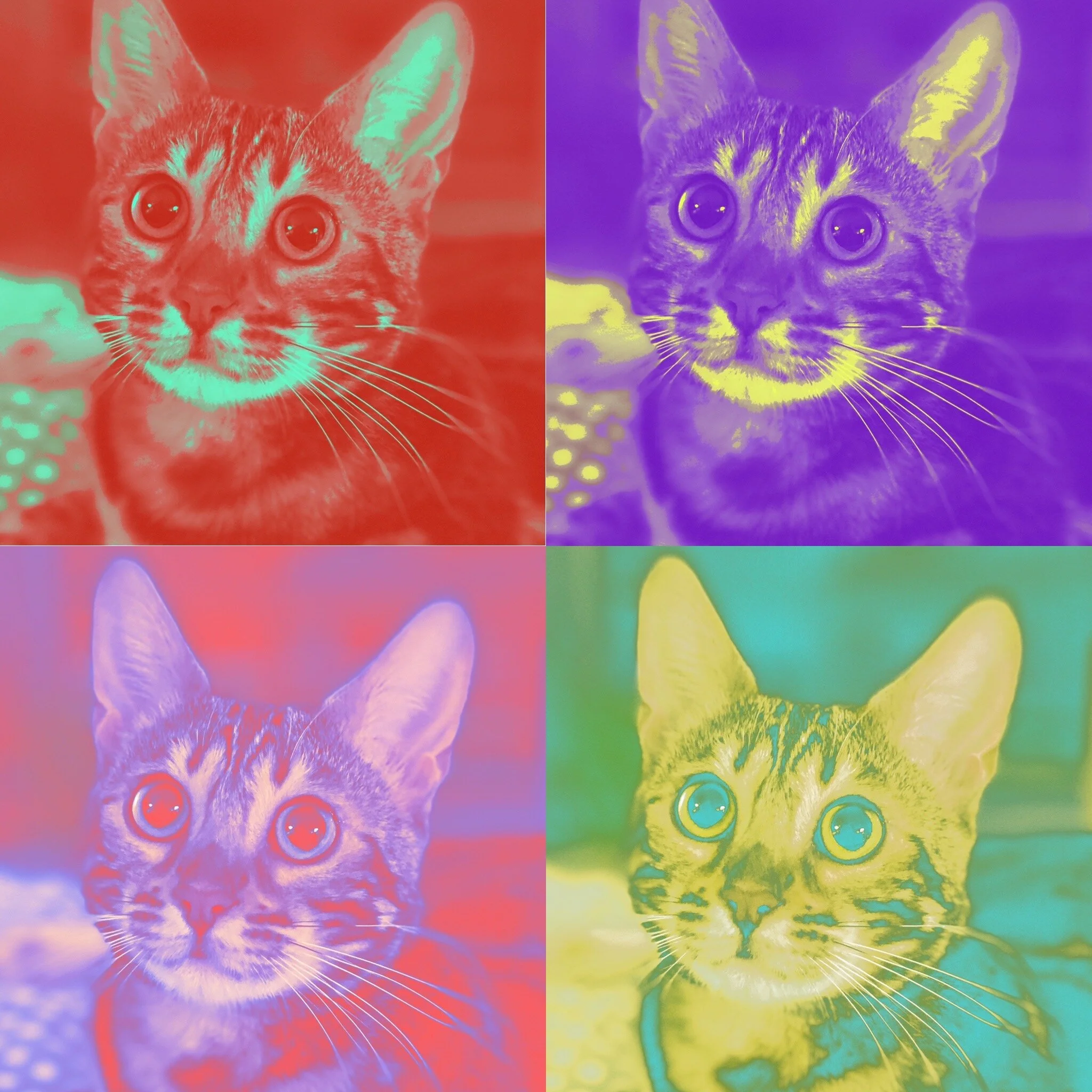 Freyja Pop Art
